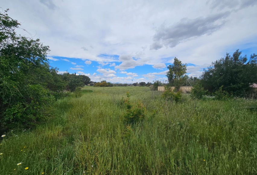 Resale - Plot / Land - Elche Pedanías - Valverde