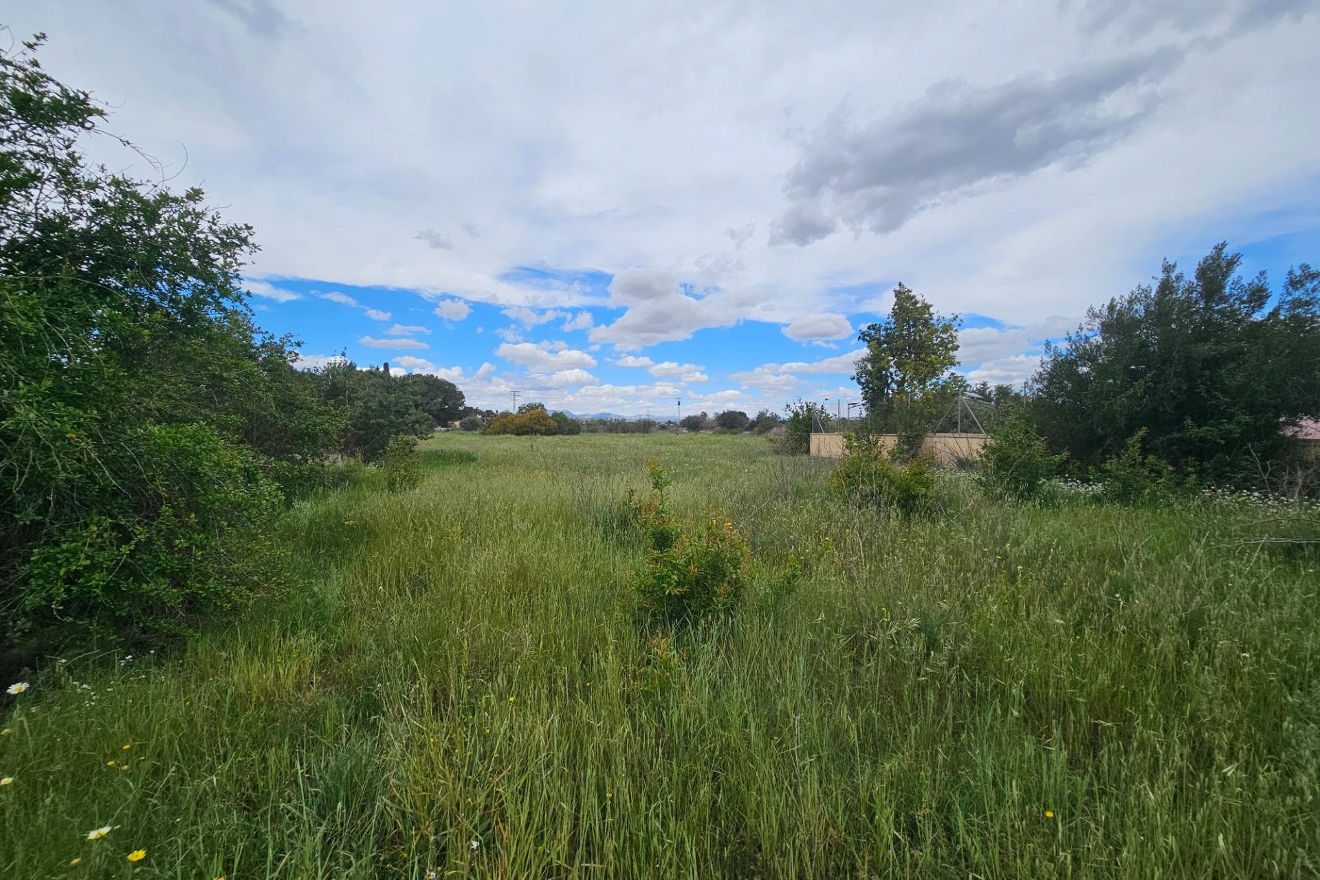 Resale - Plot / Land - Elche Pedanías - Valverde