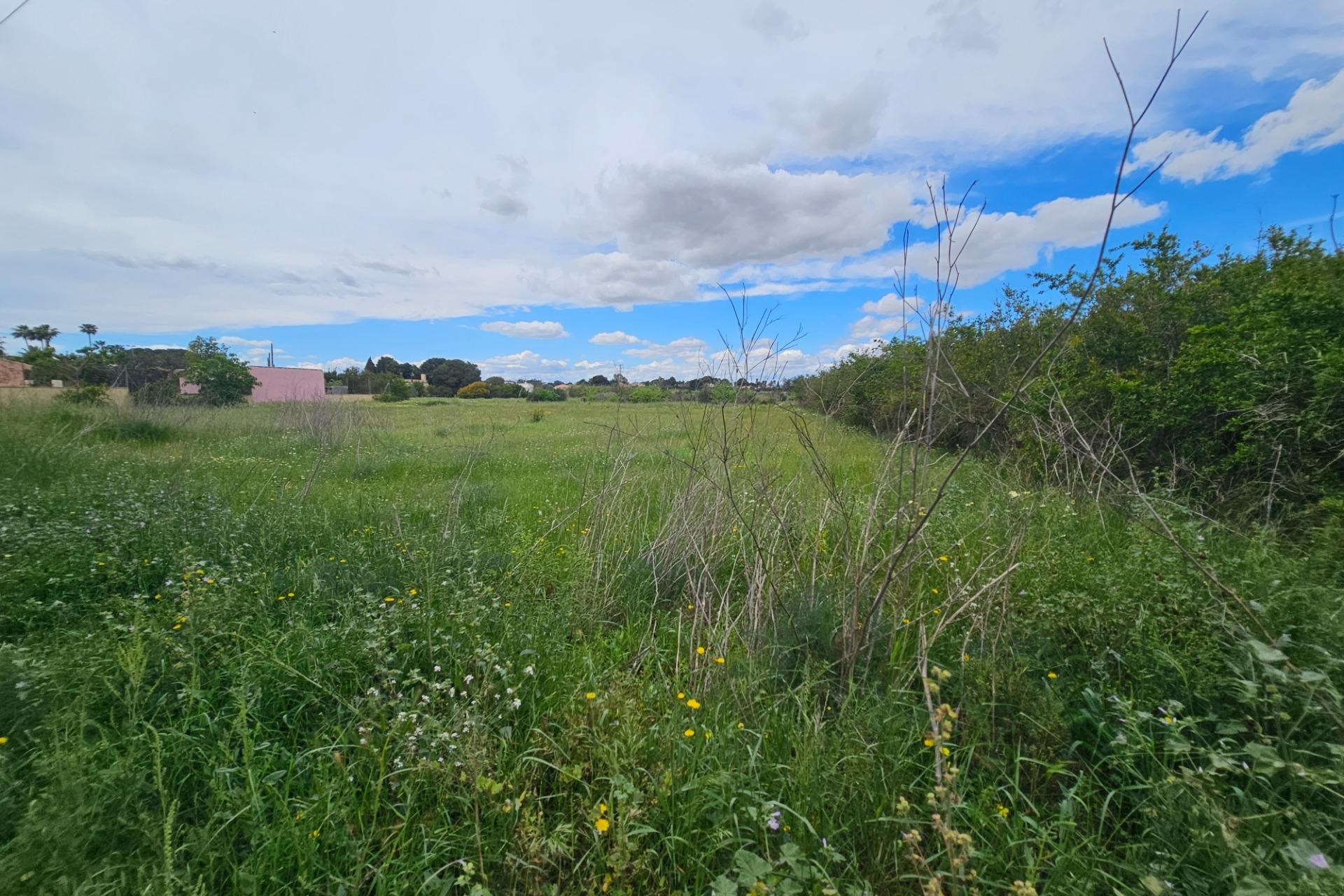 Resale - Plot / Land - Elche Pedanías - Valverde