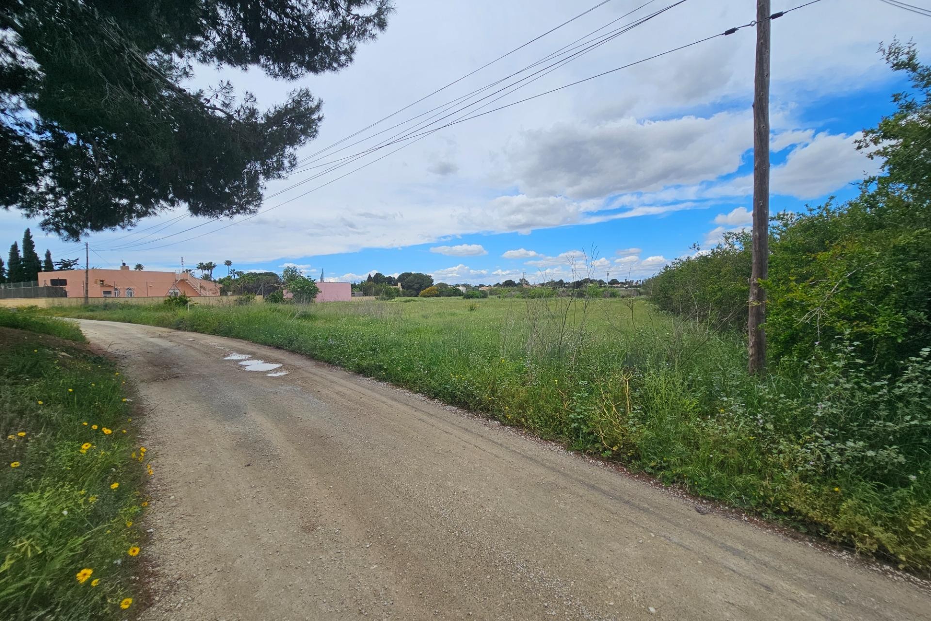 Resale - Plot / Land - Elche Pedanías - Valverde