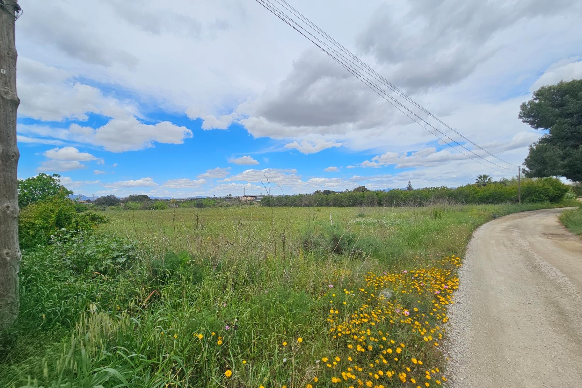 Resale - Plot / Land - Elche Pedanías - Valverde