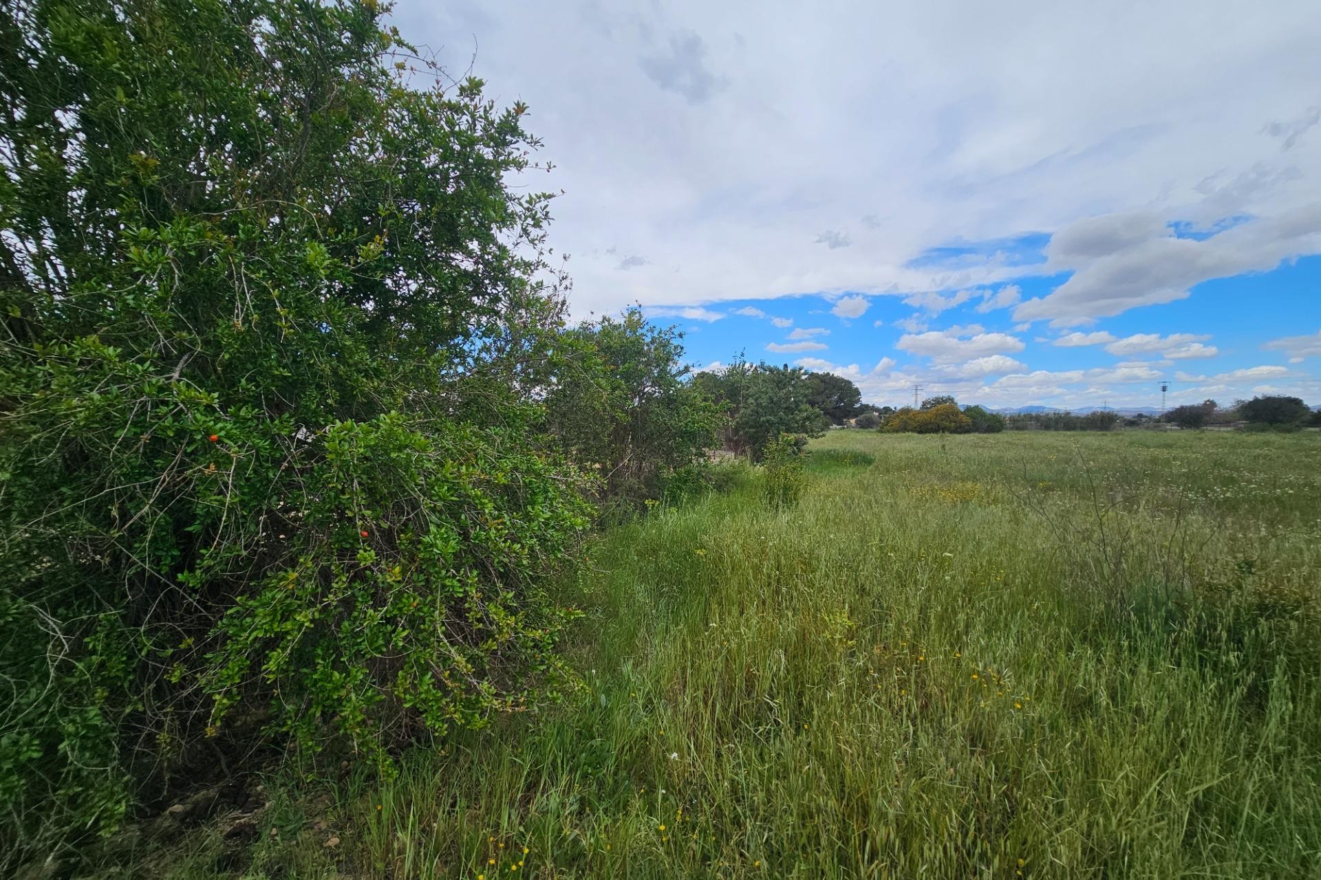 Resale - Plot / Land - Elche Pedanías - Valverde