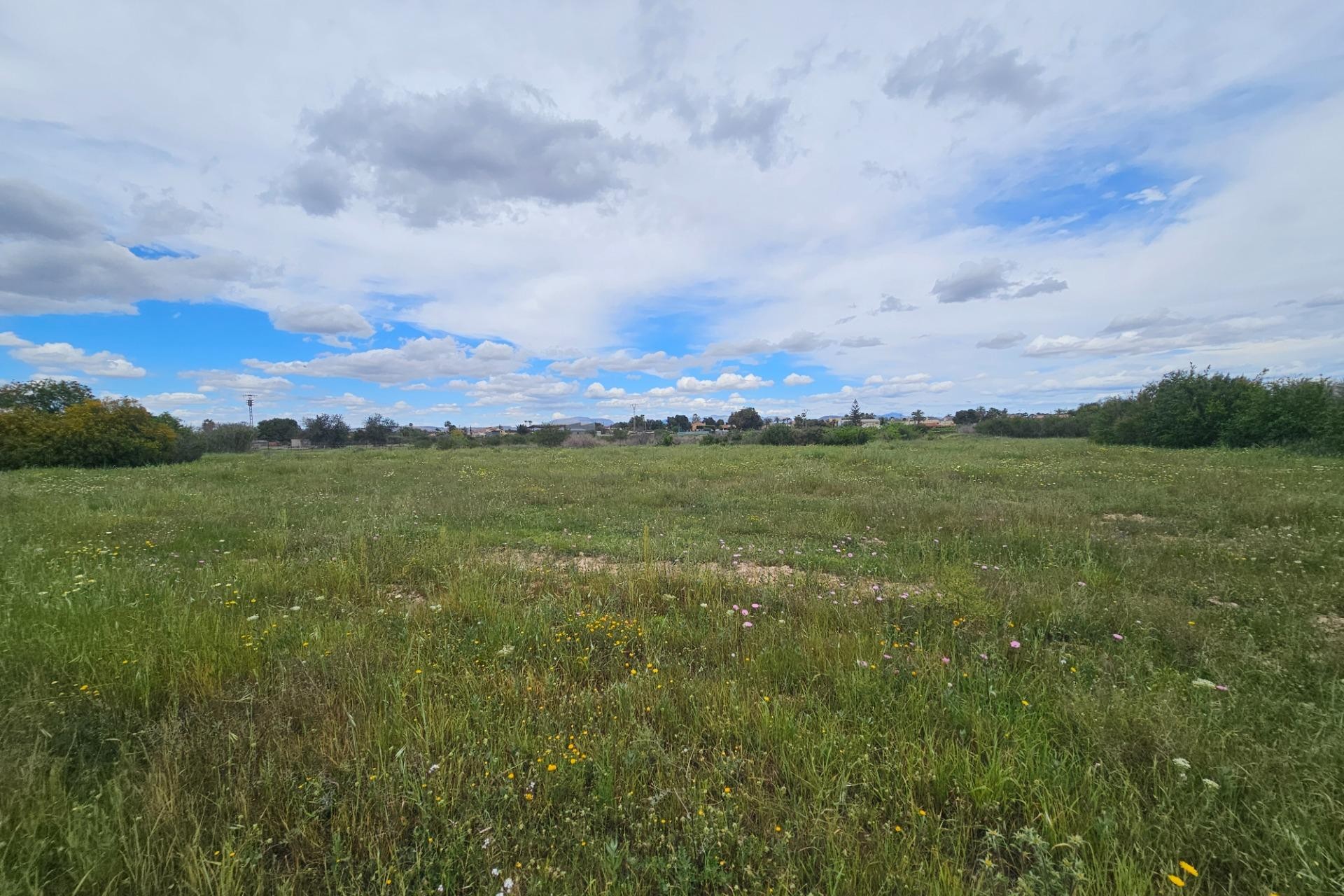 Resale - Plot / Land - Elche Pedanías - Valverde