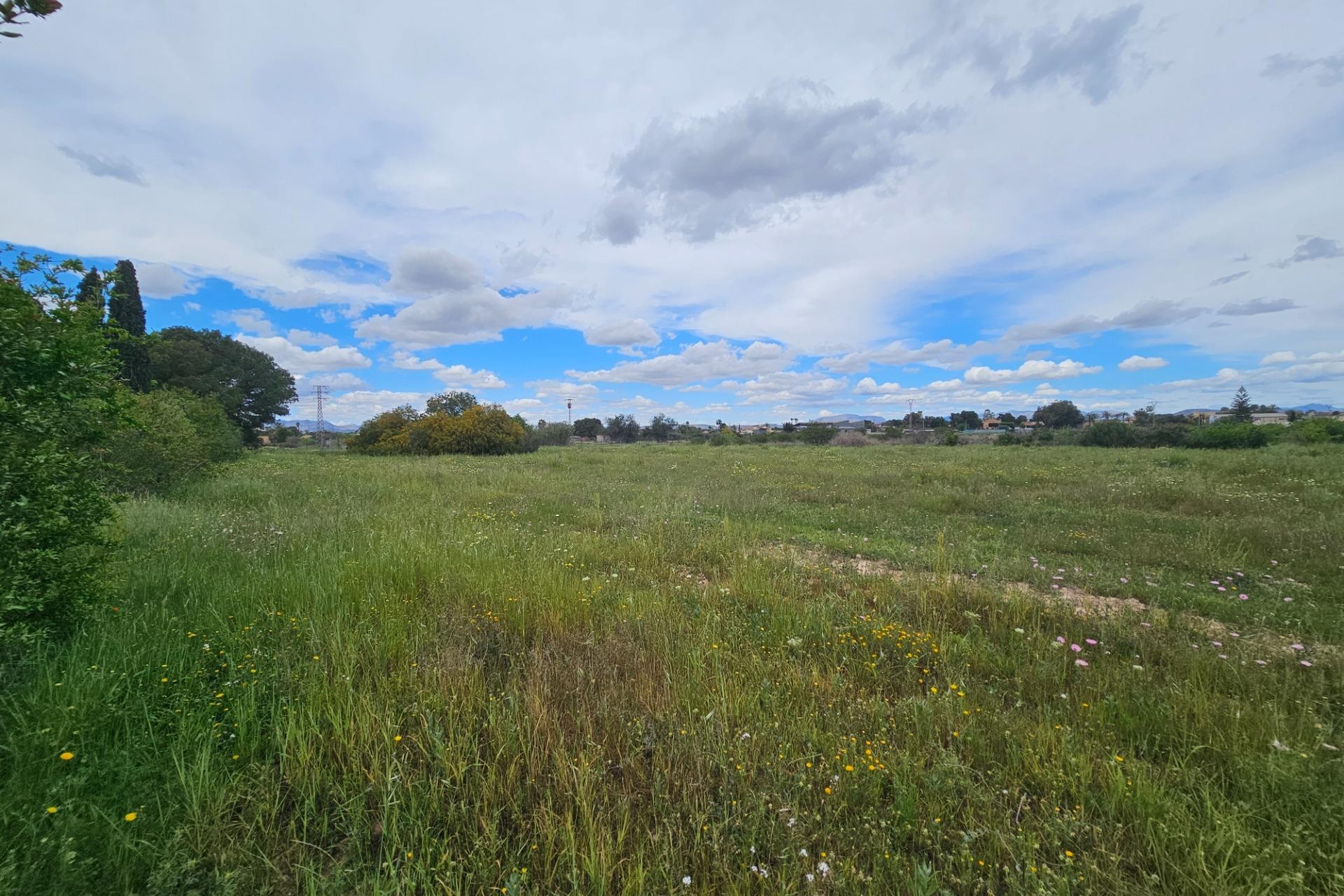 Resale - Plot / Land - Elche Pedanías - Valverde