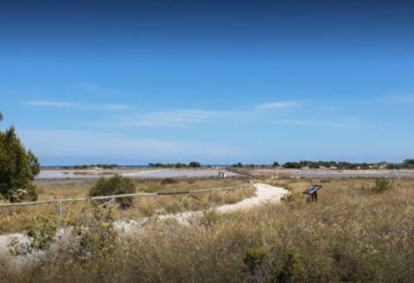 Resale - Plot / Land - Elche