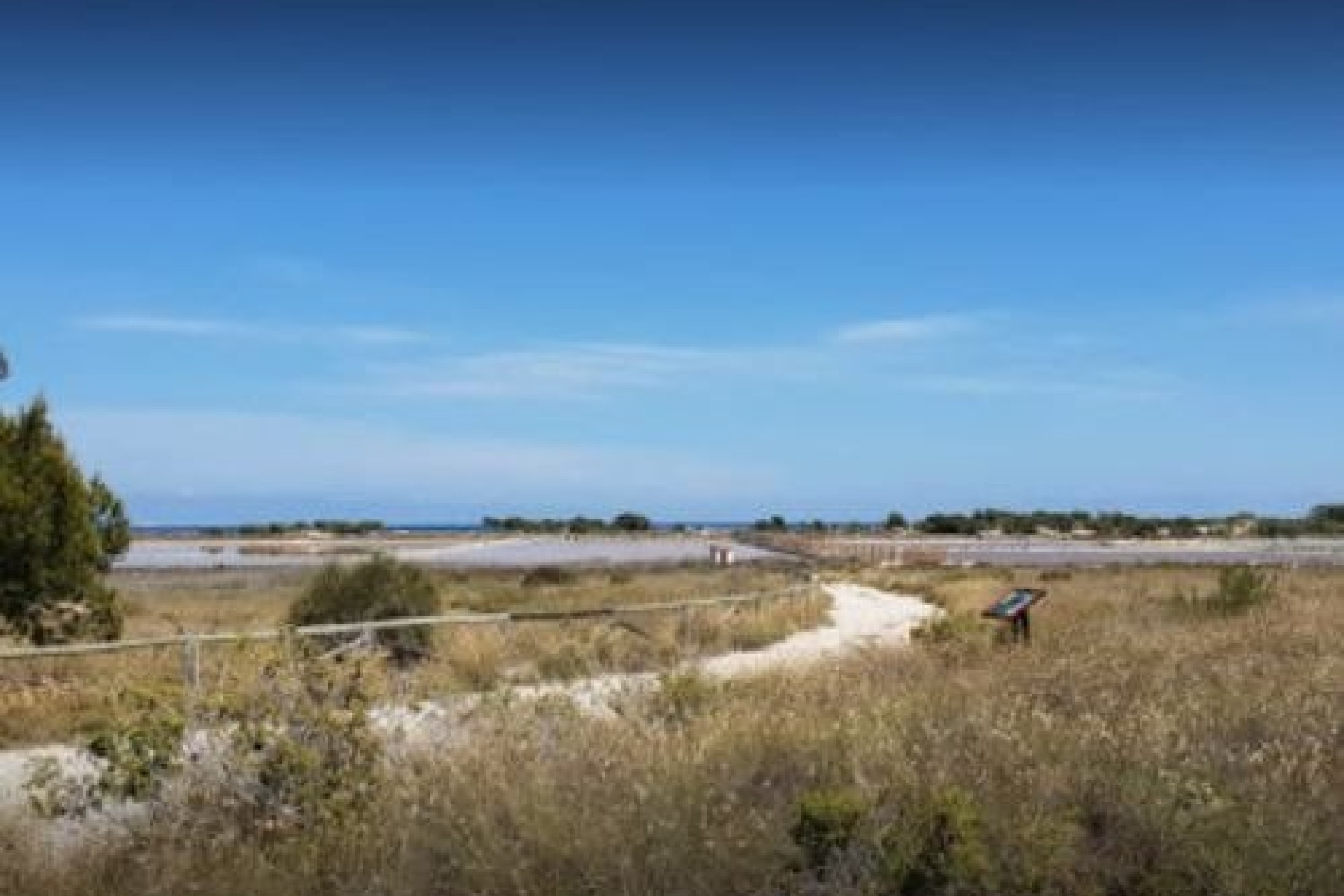 Resale - Plot / Land - Elche