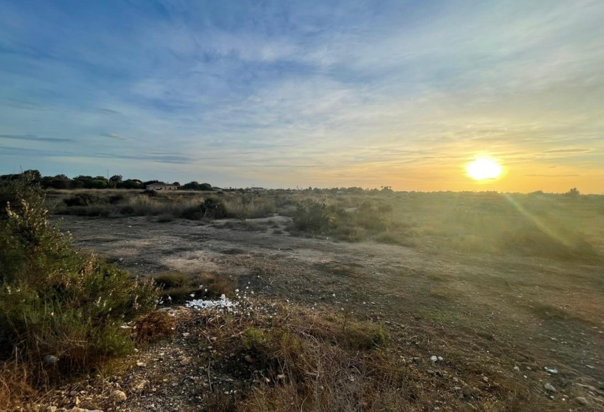 Resale - Plot / Land - Elche