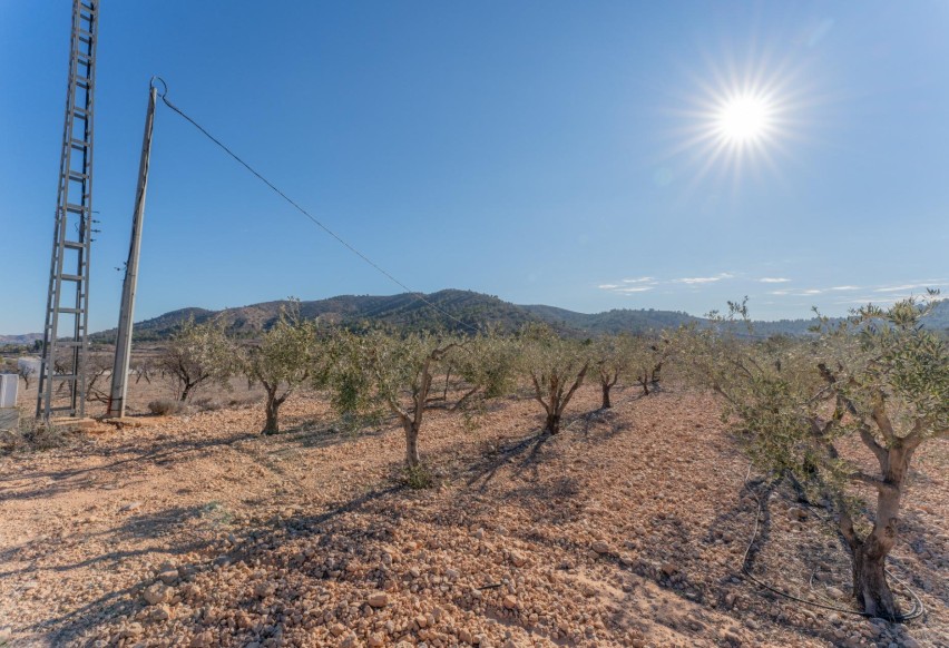 Resale - Plot / Land - Hondón de las Nieves - Comunidad valenciana