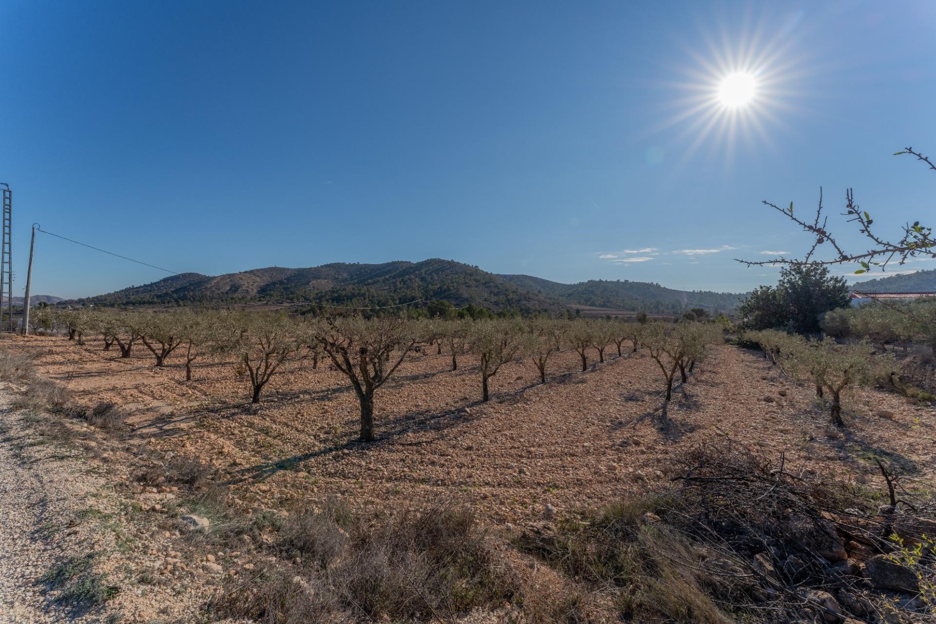 Resale - Plot / Land - Hondón de las Nieves - Comunidad valenciana