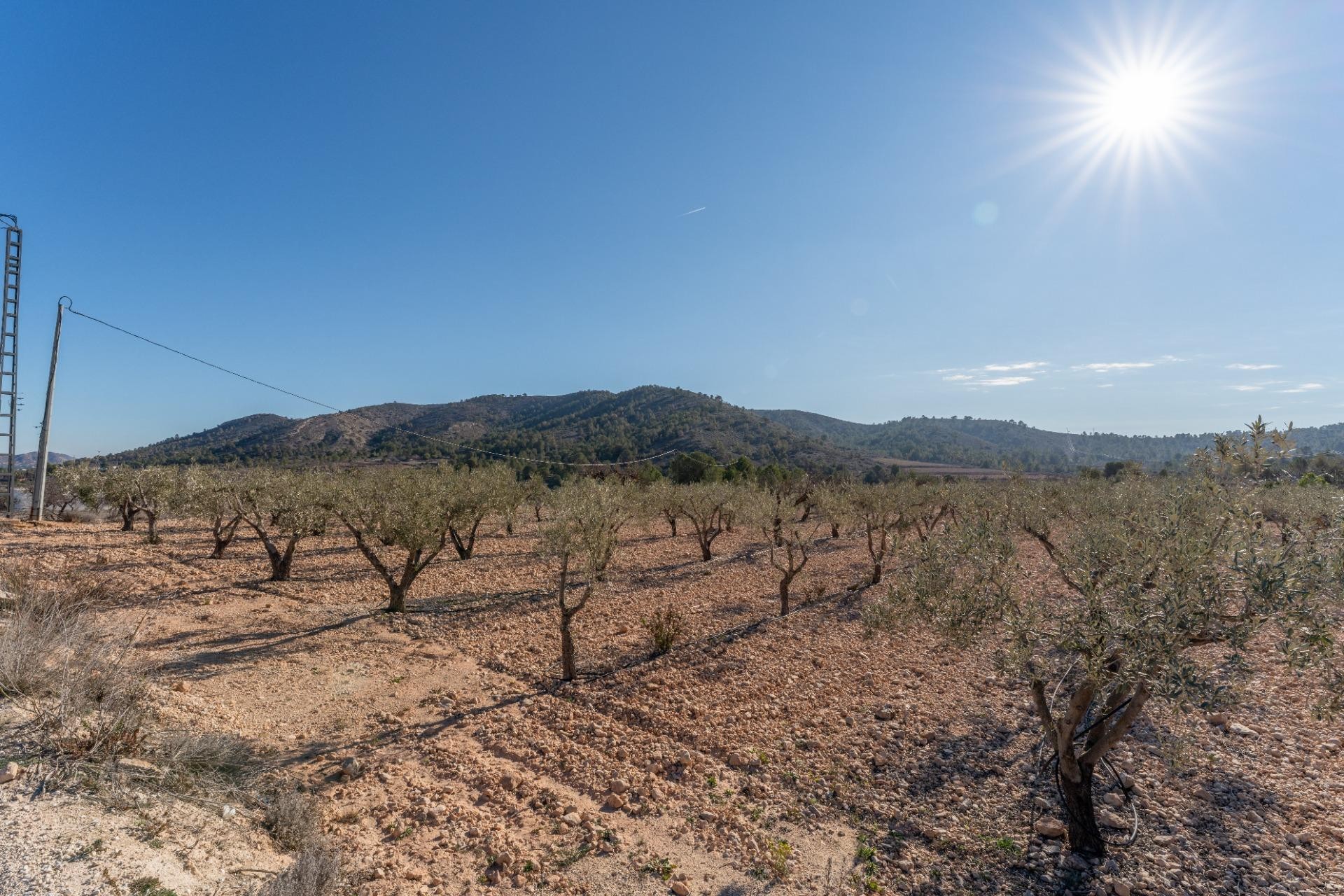 Resale - Plot / Land - Hondón de las Nieves - Comunidad valenciana