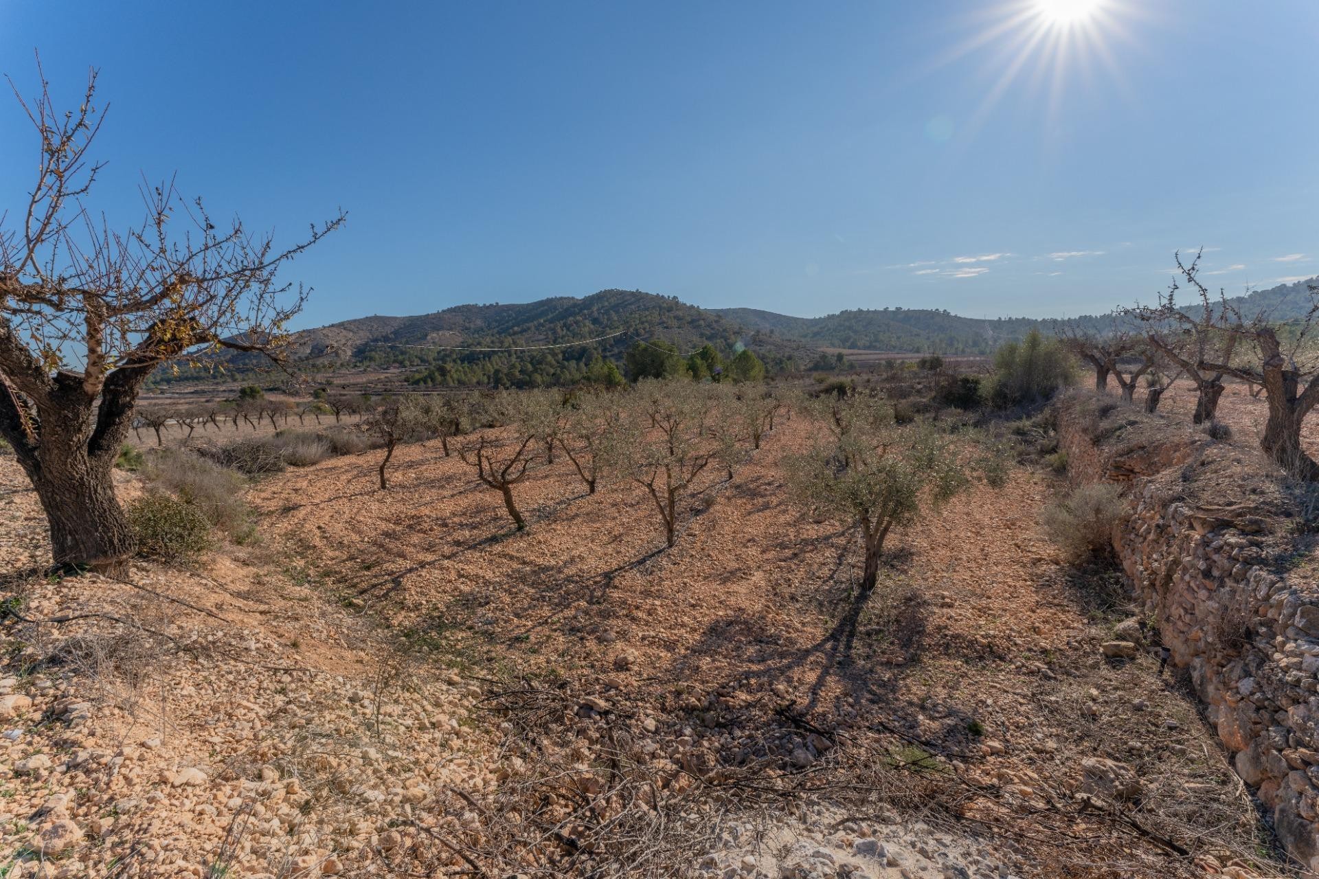 Resale - Plot / Land - Hondón de las Nieves - Comunidad valenciana