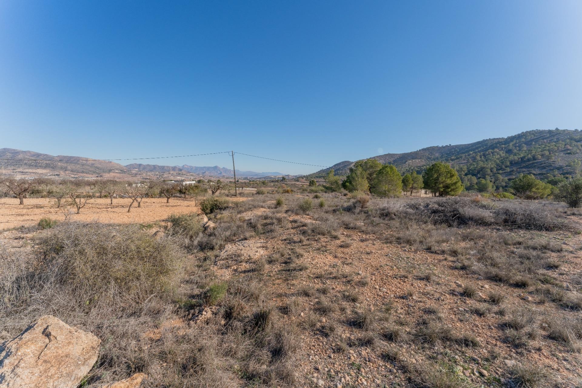 Resale - Plot / Land - Hondón de las Nieves - Comunidad valenciana