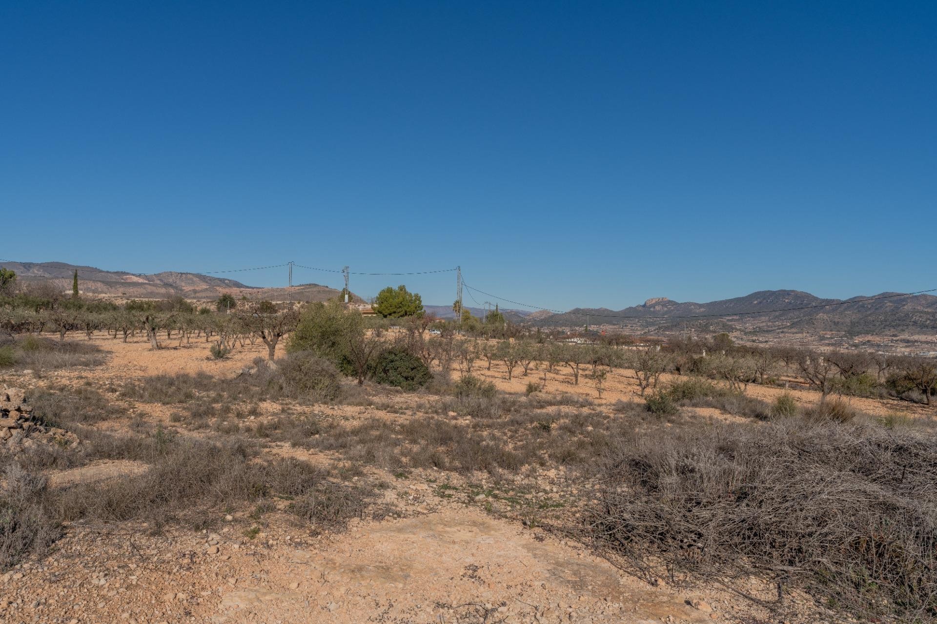 Resale - Plot / Land - Hondón de las Nieves - Comunidad valenciana