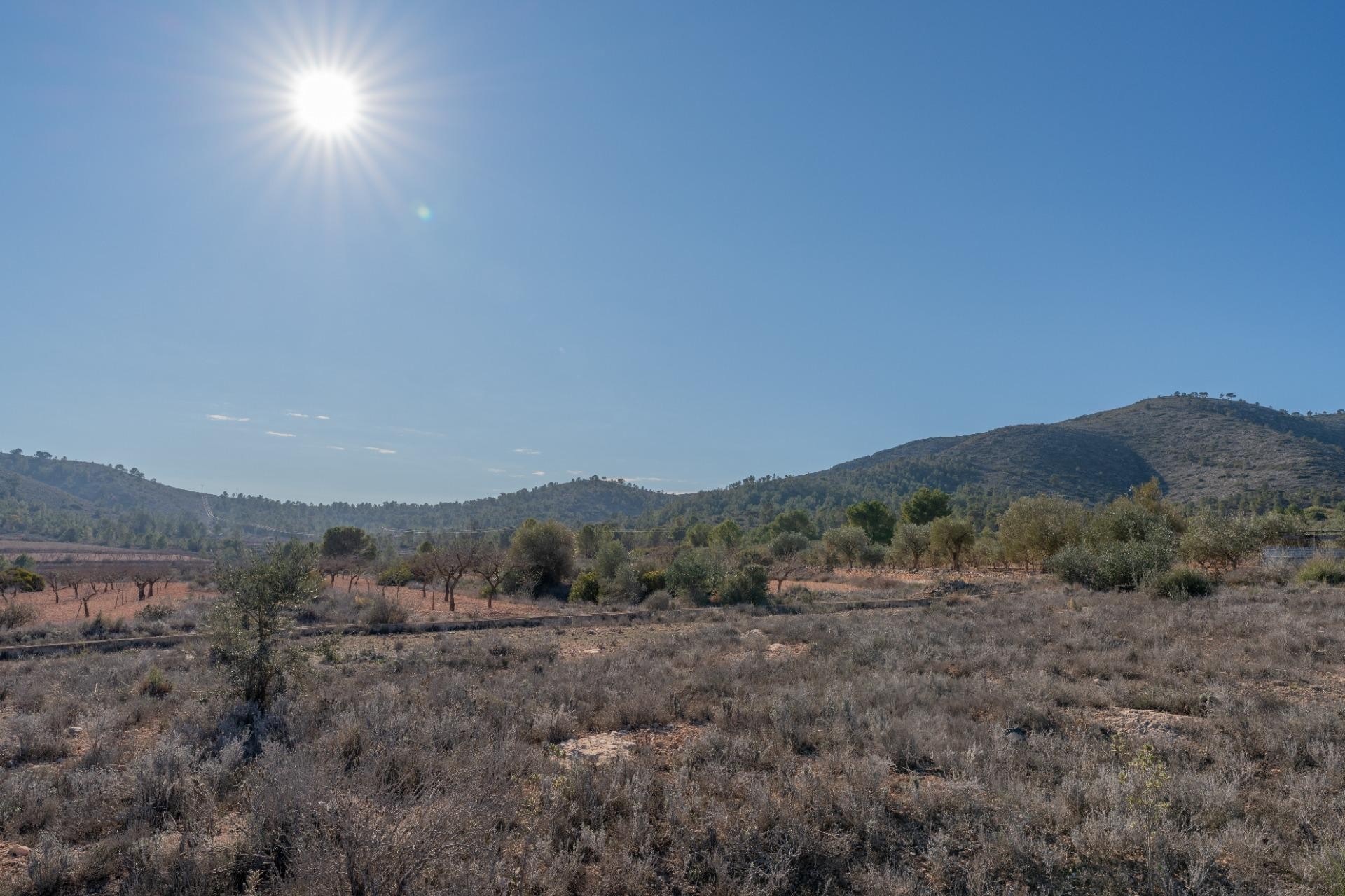 Resale - Plot / Land - Hondón de las Nieves - Comunidad valenciana