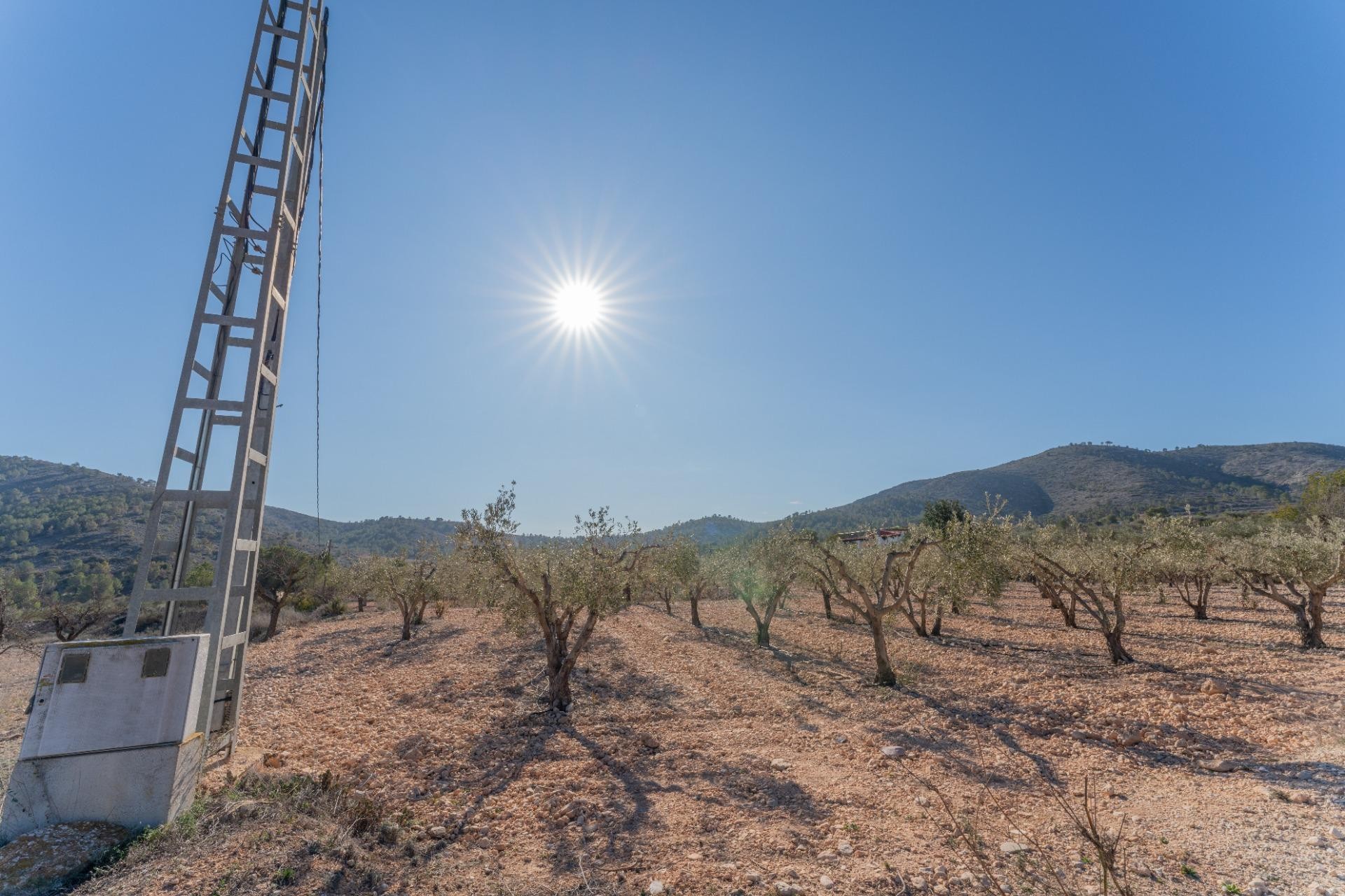 Resale - Plot / Land - Hondón de las Nieves - Comunidad valenciana