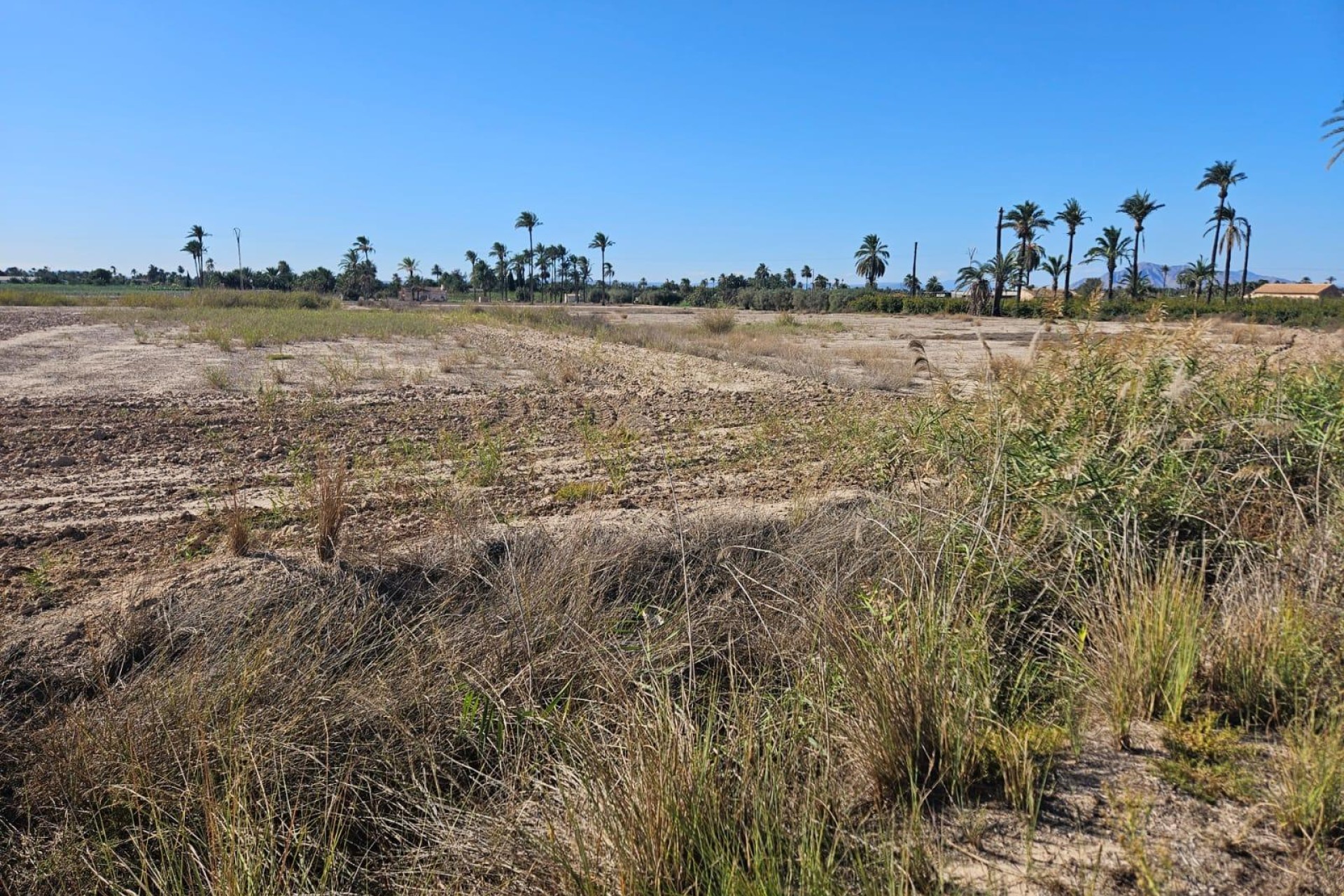Resale - Plot / Land - La hoya - La Hoya-Daimes-El Derramador