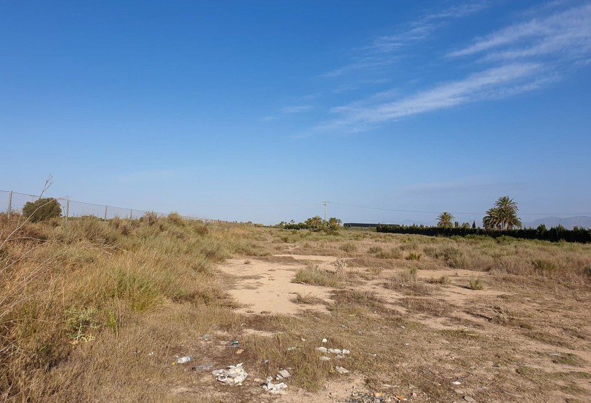 Resale - Plot / Land - La marina - Molar