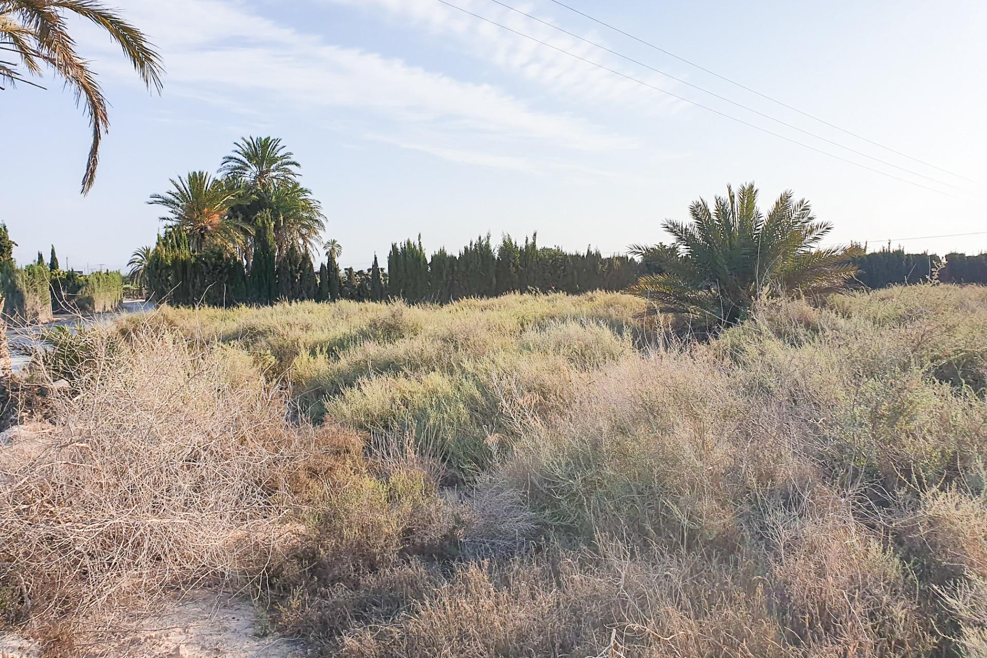 Resale - Plot / Land - La marina - Molar