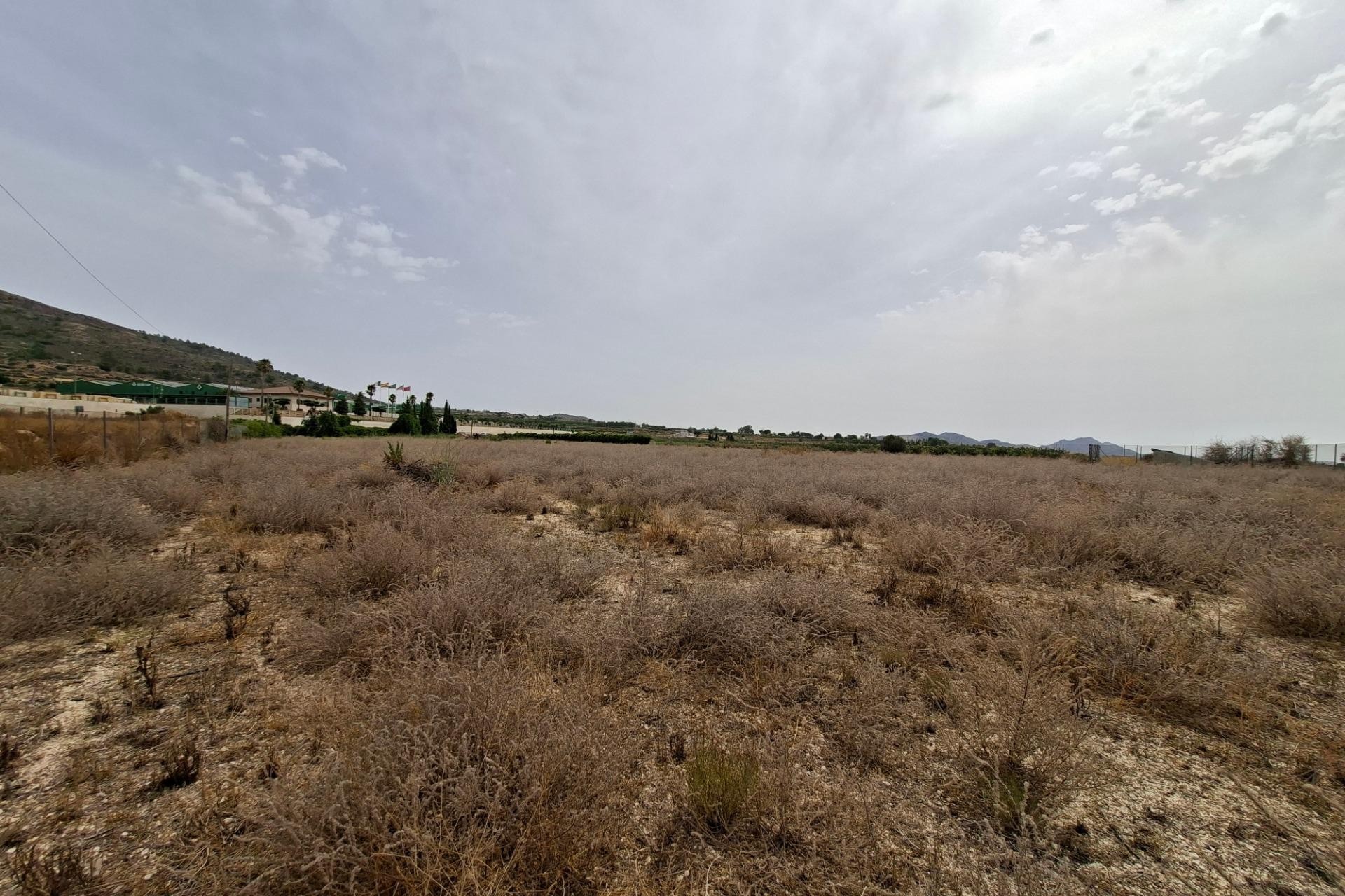 Resale - Plot / Land - La Romana - Crta. LA ROMANA