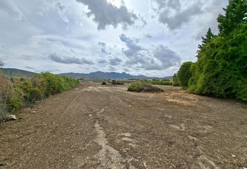 Resale - Plot / Land - La Romana - Crta. LA ROMANA