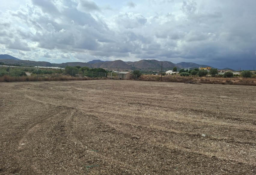Resale - Plot / Land - La Romana - Crta. LA ROMANA