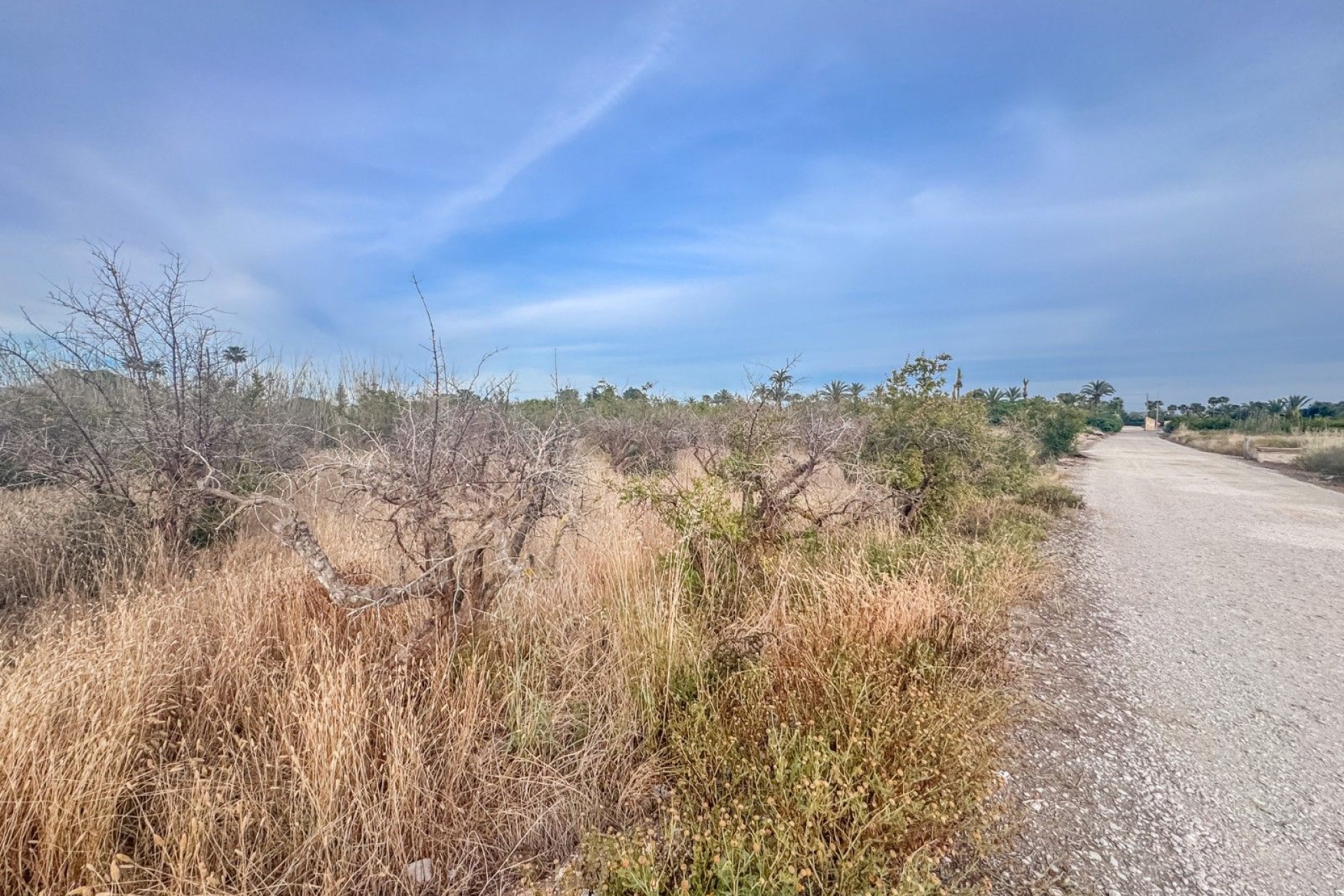 Resale - Plot / Land - Matola - Algoda-Matola-Llano de San José