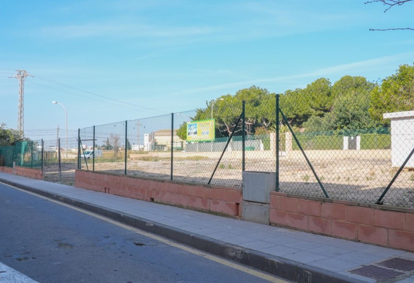 Resale - Plot / Land - Pilar de la Horadada - PILAR DE LA HORADADA