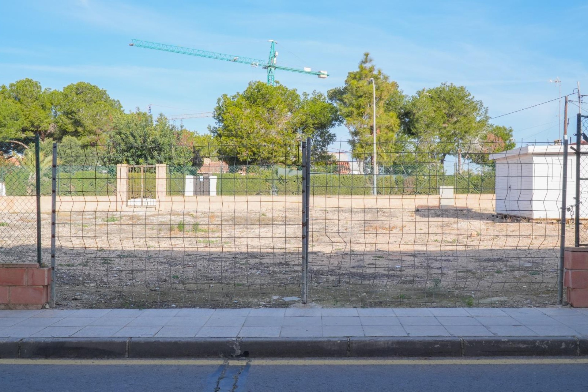 Resale - Plot / Land - Pilar de la Horadada - PILAR DE LA HORADADA