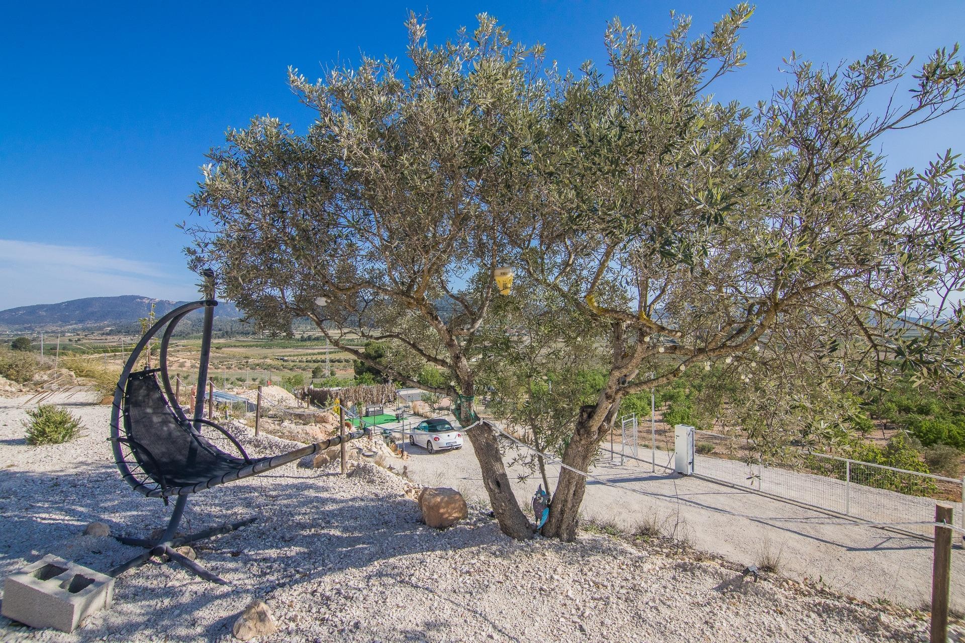 Resale - Plot / Land - Pinoso - CULEBRON