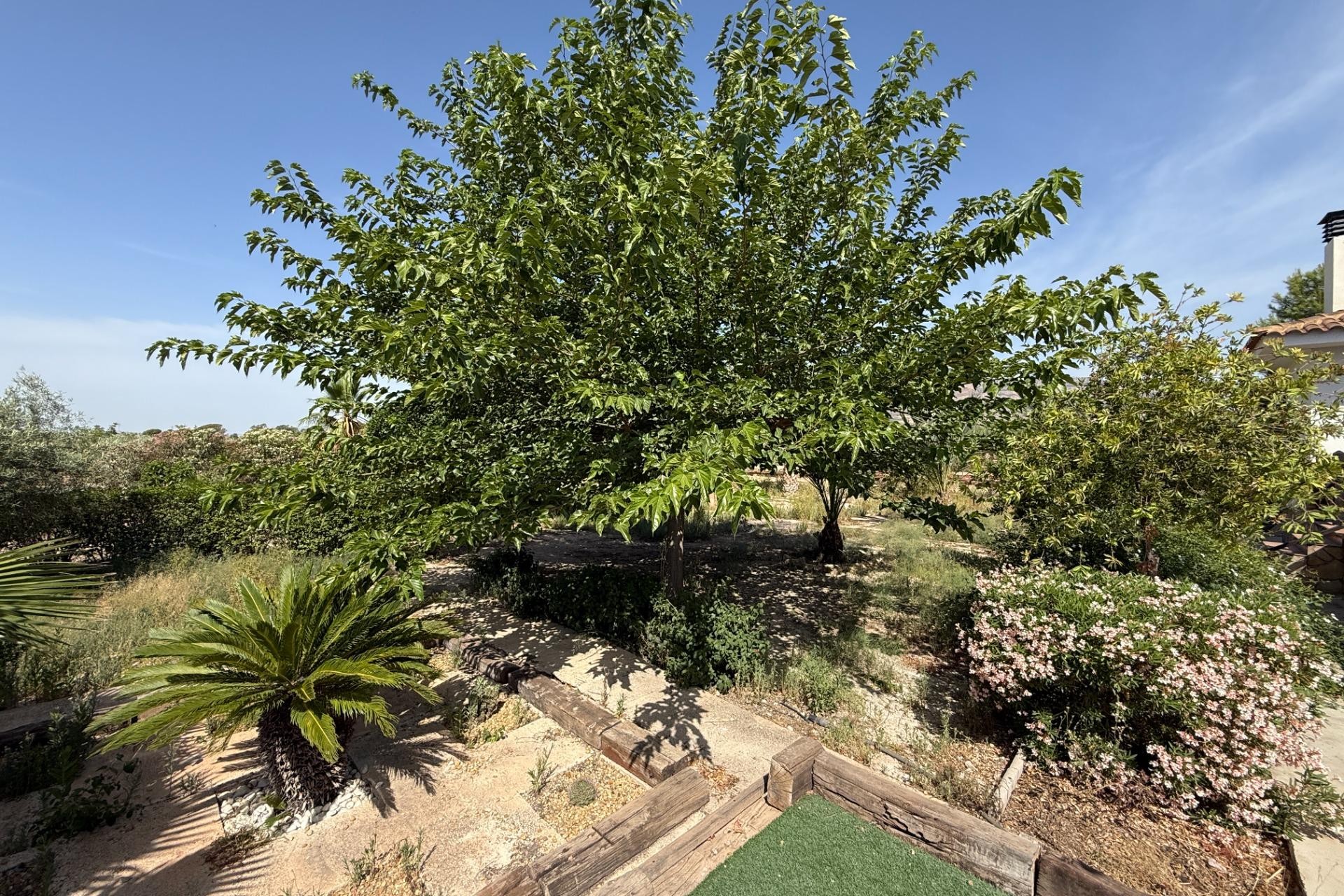 Resale - Villa - Agost - campo