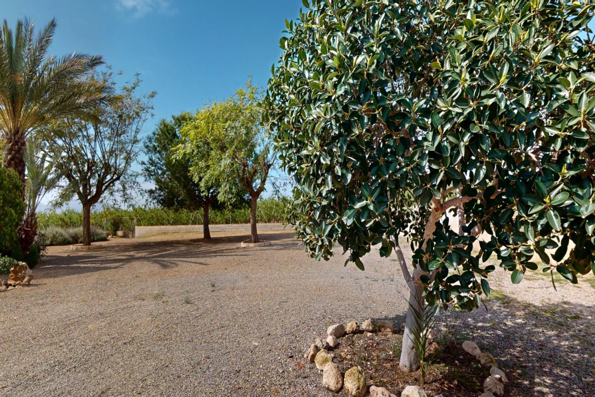 Resale - Villa - Albatera - Partida del moco
