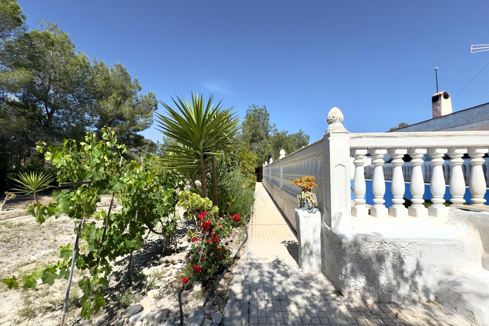 Resale - Villa - Aspe - Pedanías Este
