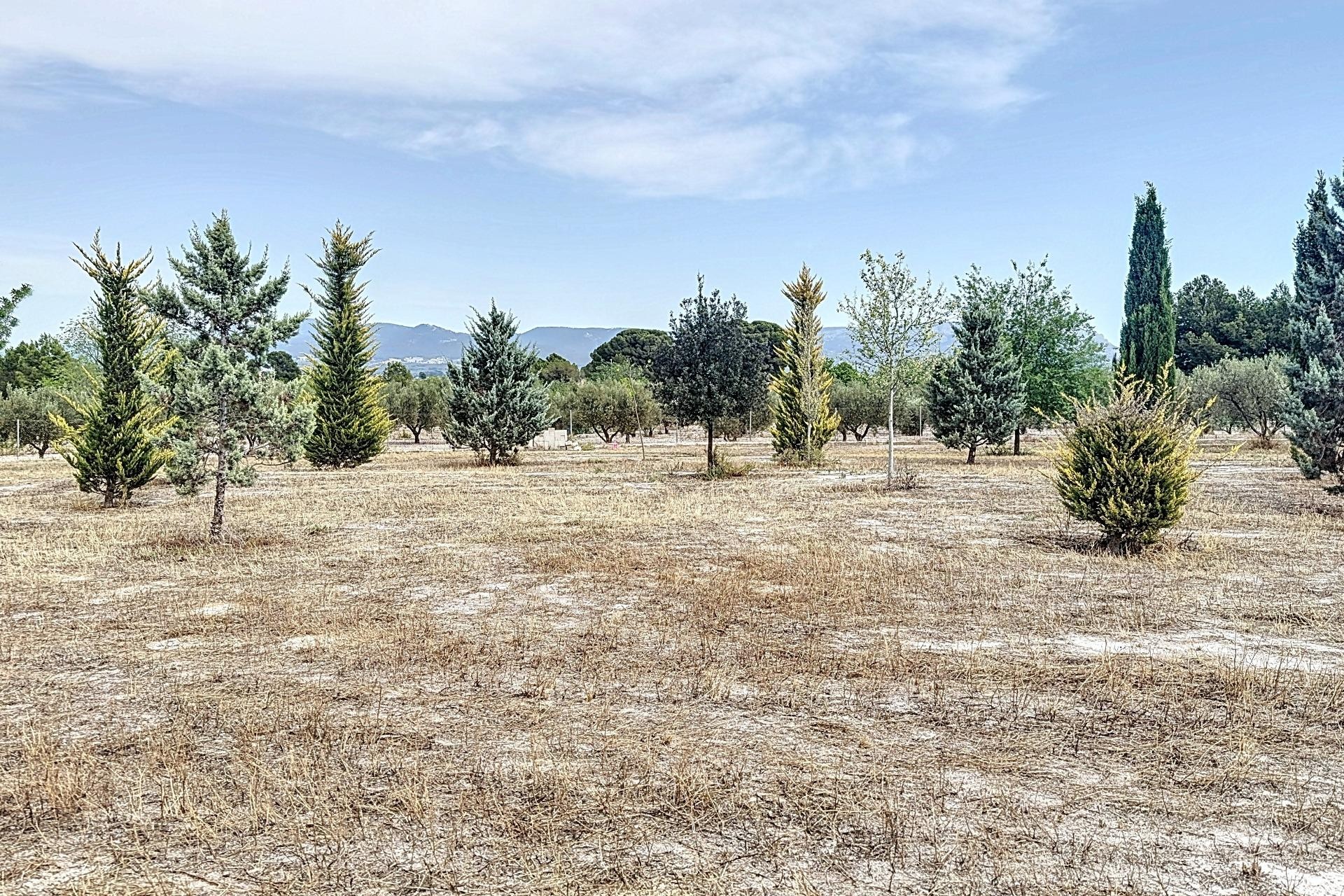 Resale - Villa - Castalla - Confiters
