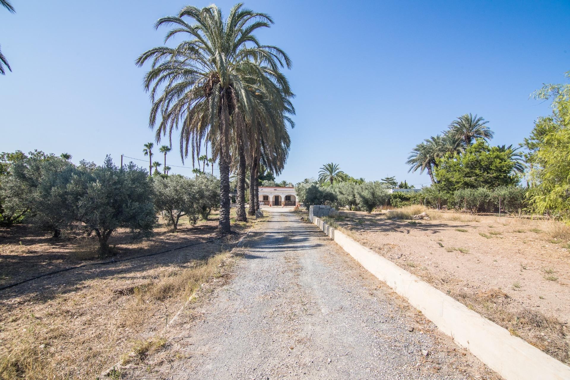 Resale - Villa - Elche - Elche / Elx