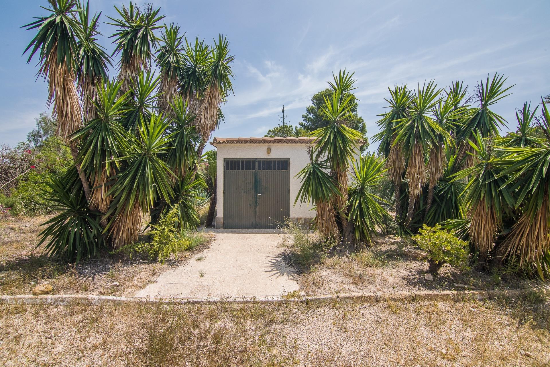 Resale - Villa - Elche - La Galia-Bonavista