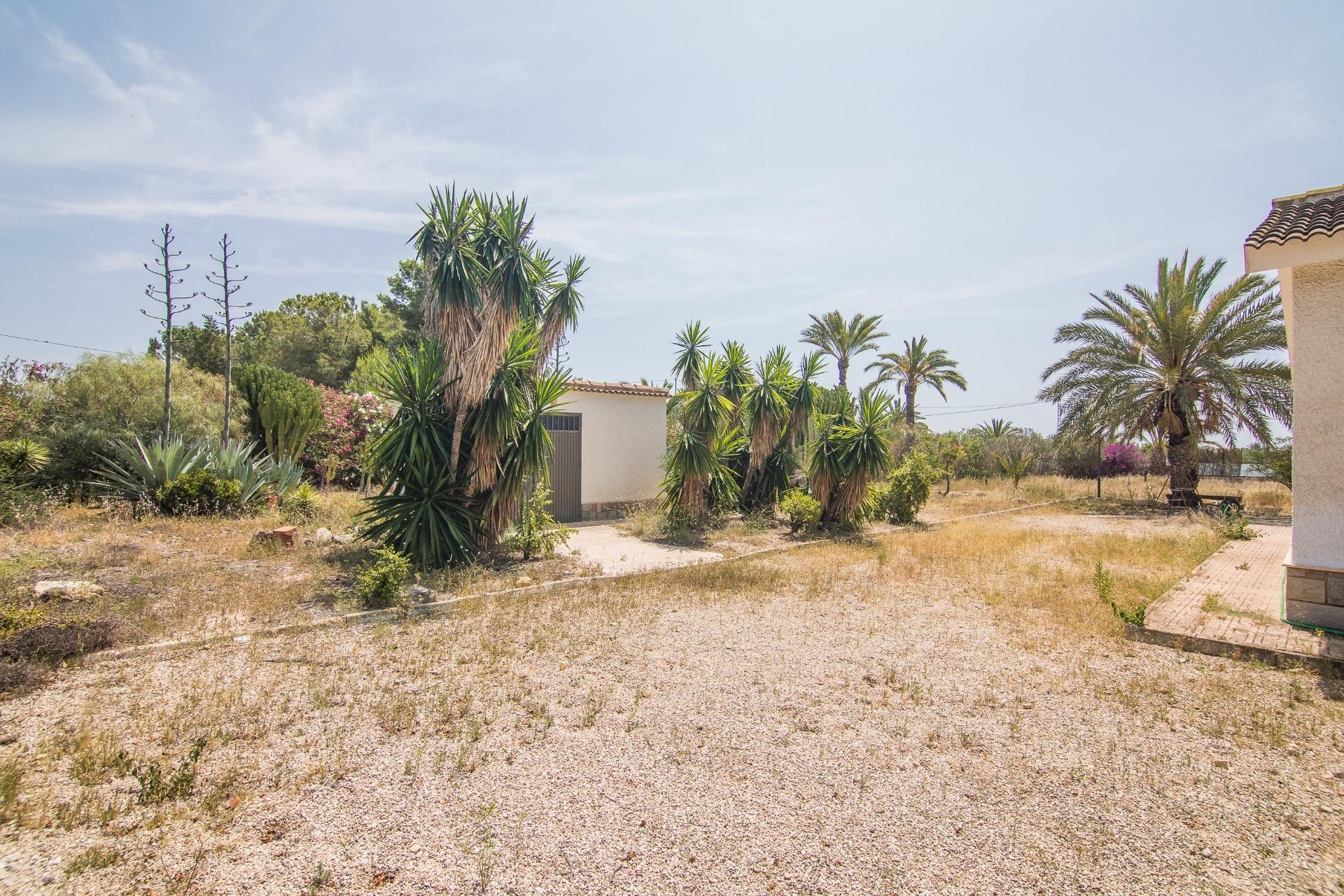 Resale - Villa - Elche - La Galia-Bonavista