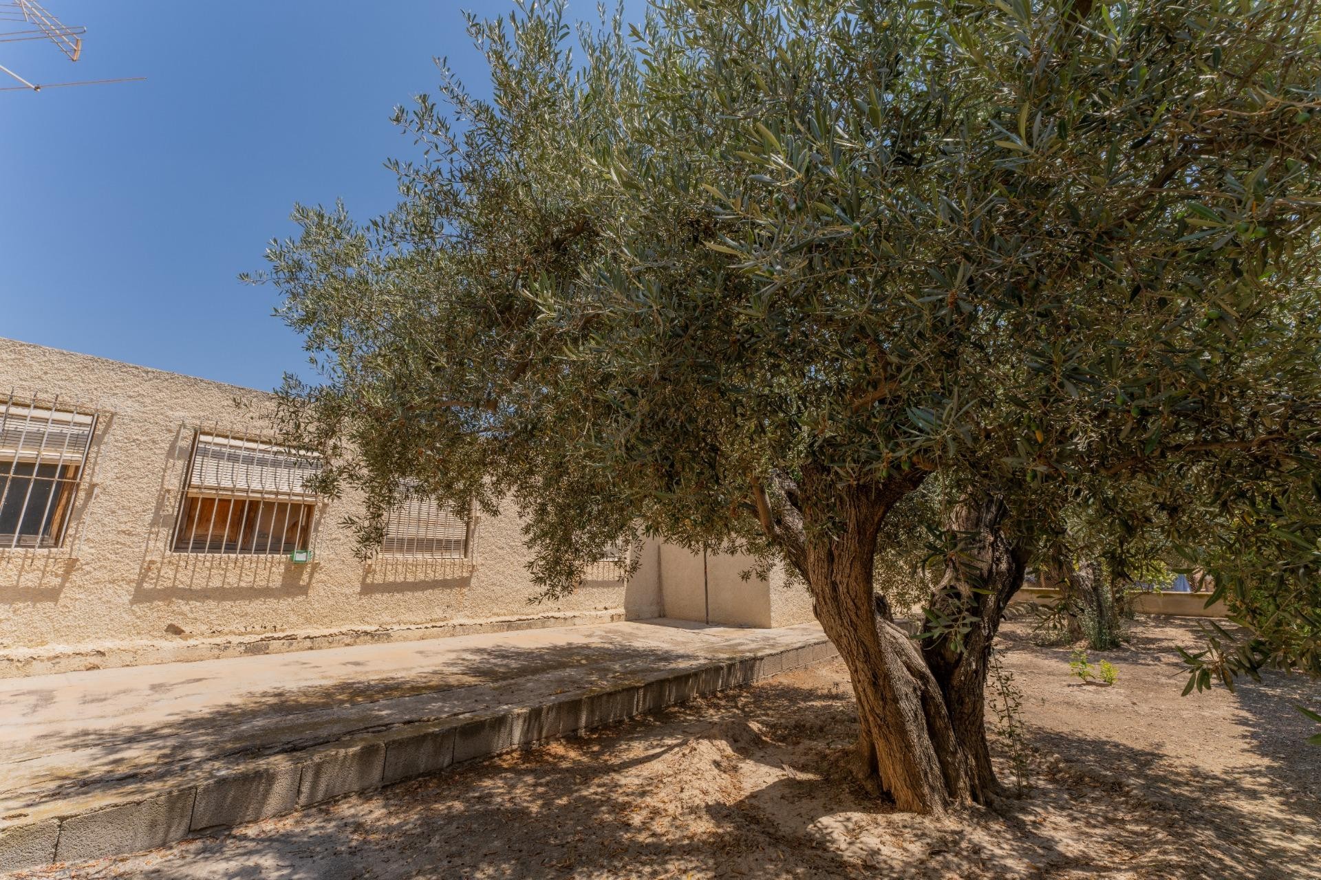 Resale - Villa - Elche Pedanías - Algoda-Matola-Llano de San José