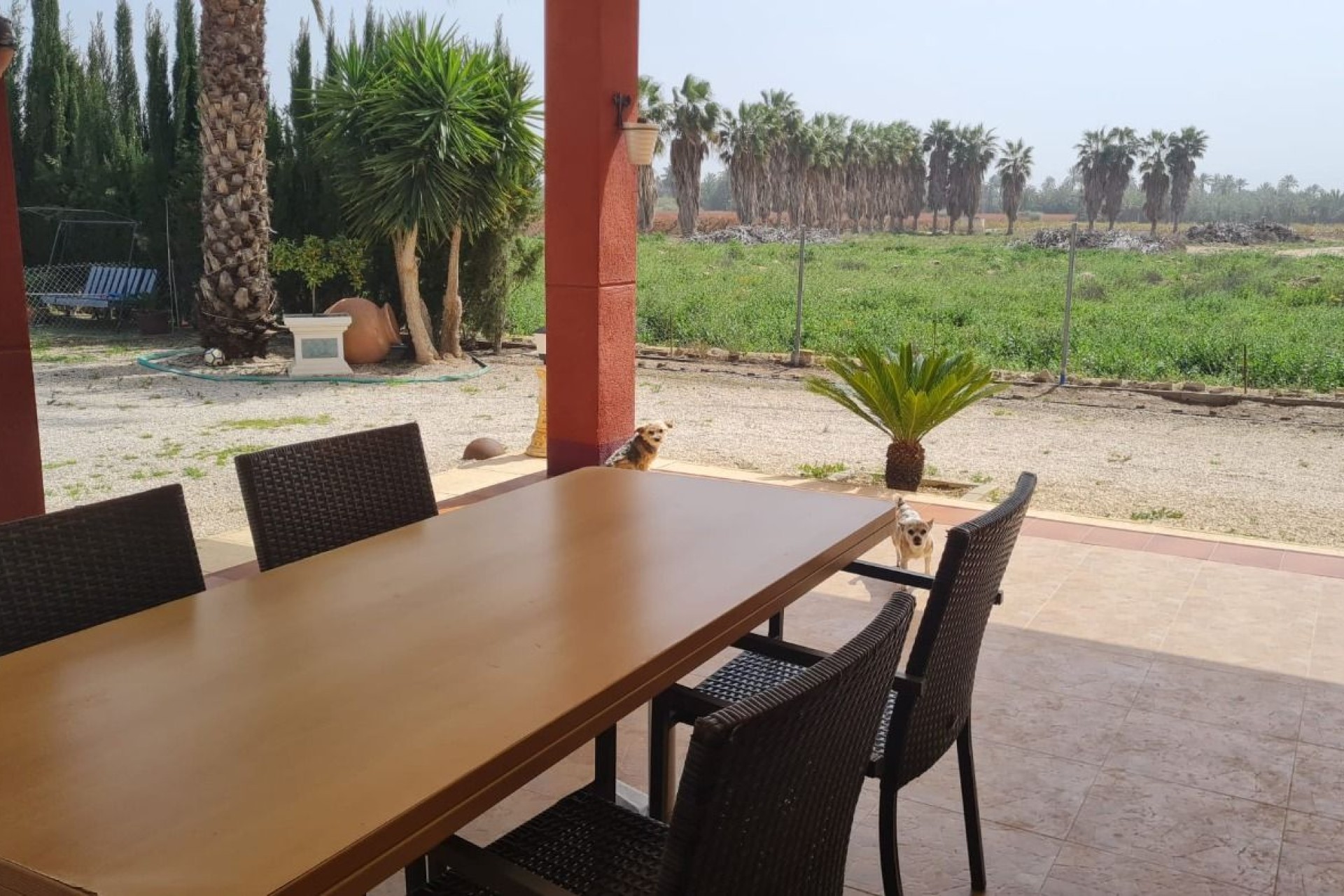 Resale - Villa - Elche Pedanías - Algoda