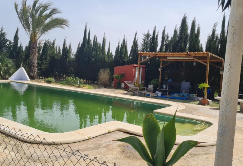 Resale - Villa - Elche Pedanías - Algoda