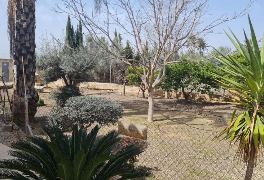 Resale - Villa - Elche Pedanías - Algoda