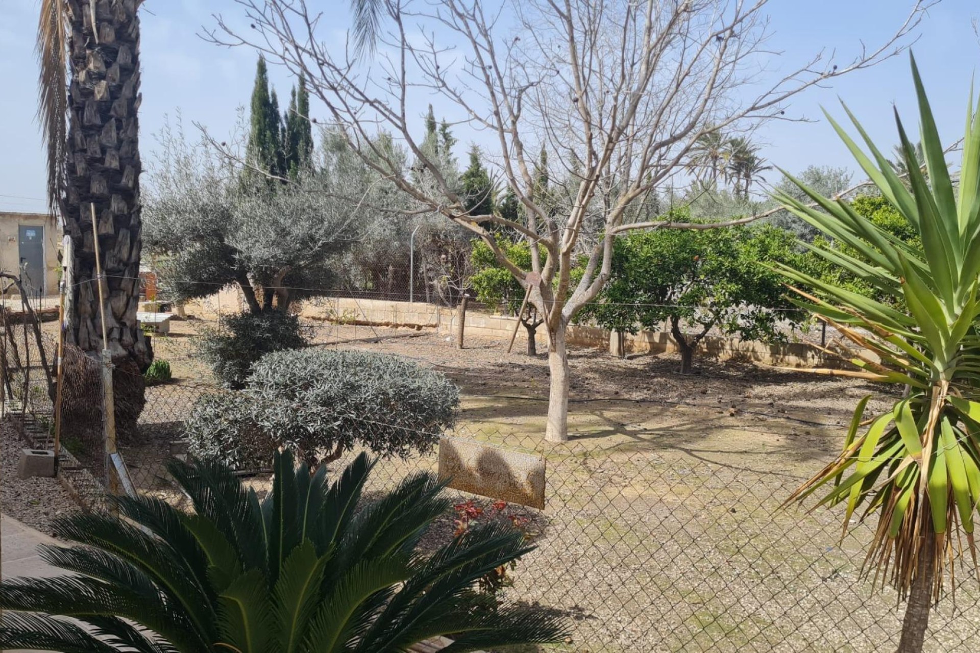 Resale - Villa - Elche Pedanías - Algoda