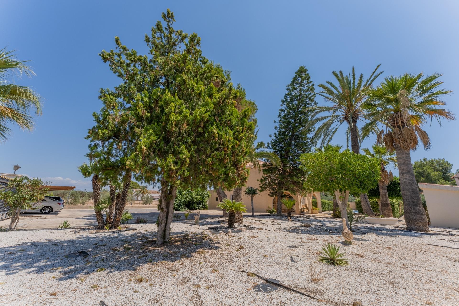 Resale - Villa - Elche Pedanías - Algoda