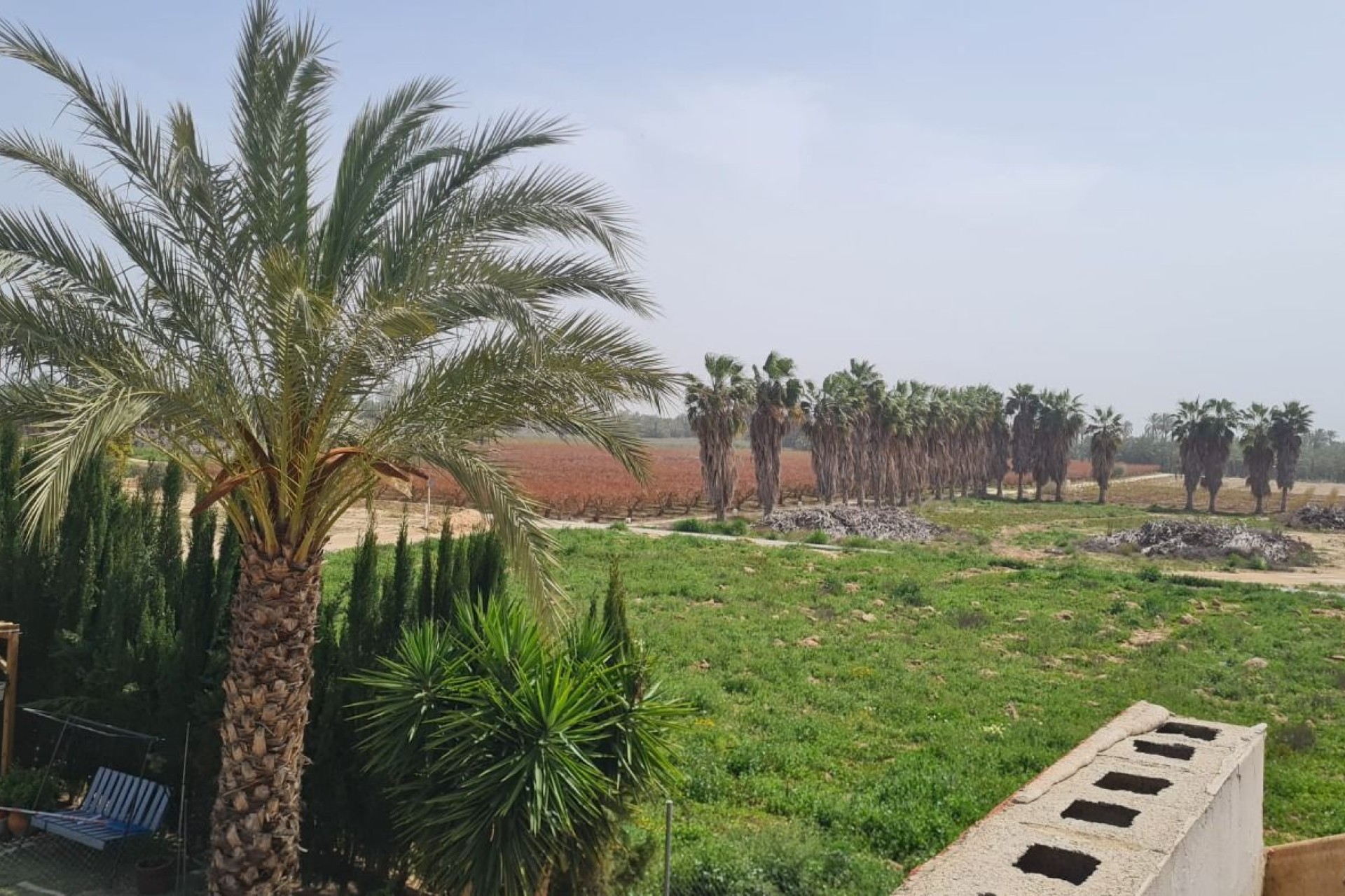 Resale - Villa - Elche Pedanías - Algoda