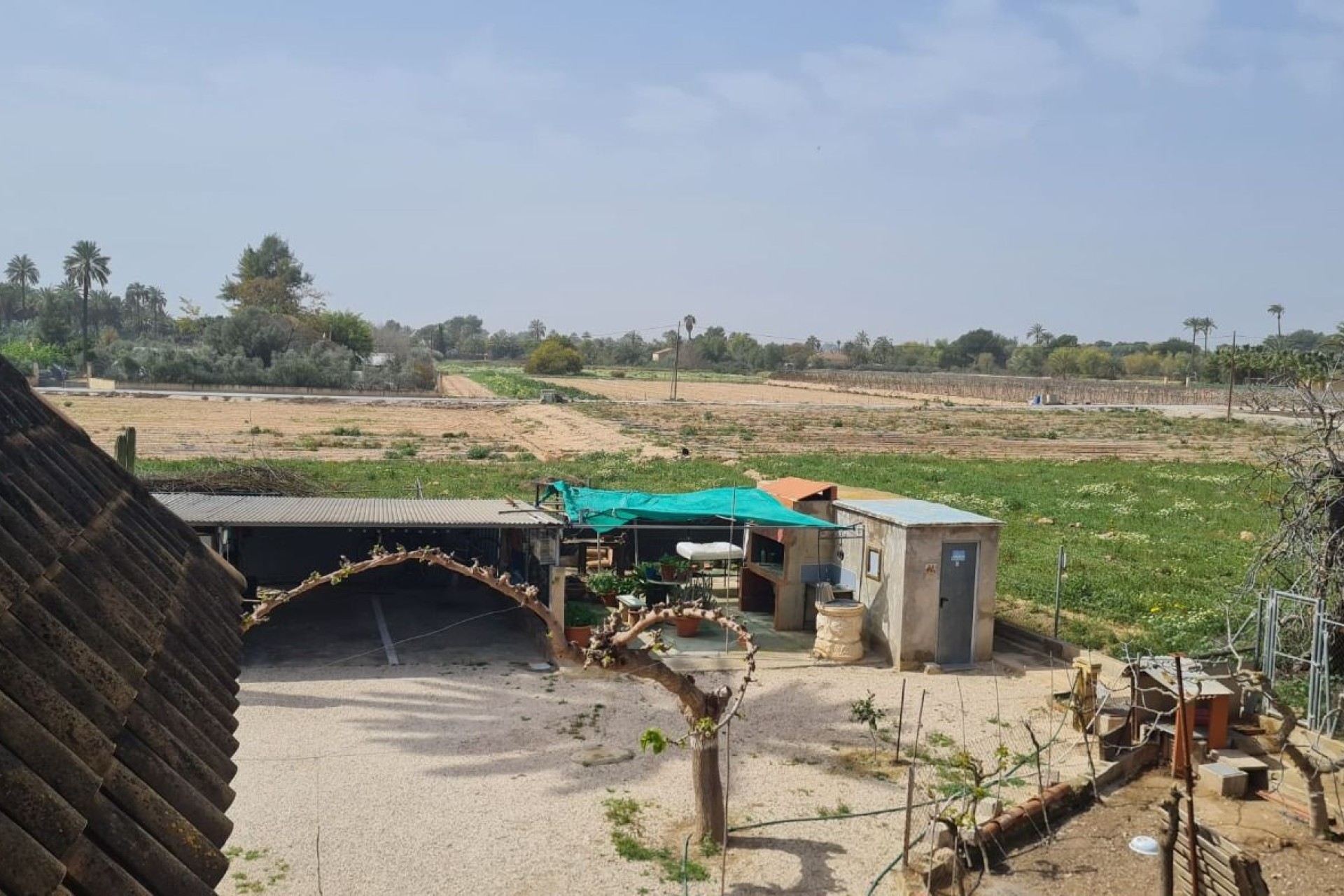 Resale - Villa - Elche Pedanías - Algoda