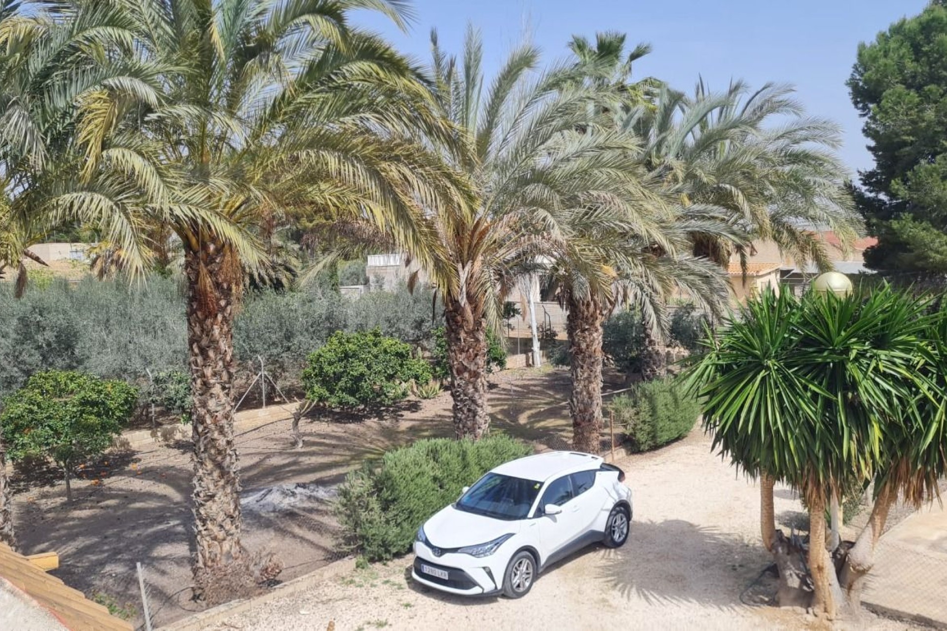 Resale - Villa - Elche Pedanías - Algoda