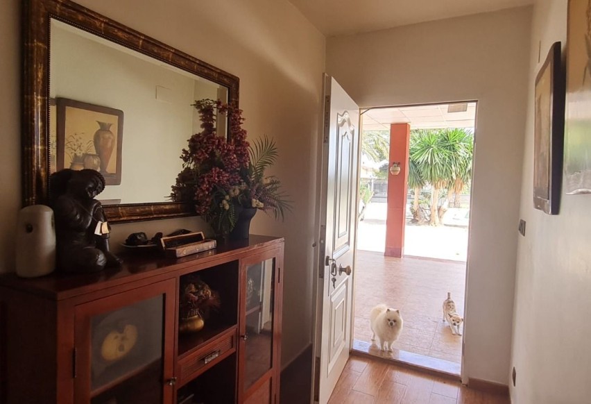 Resale - Villa - Elche Pedanías - Algoda