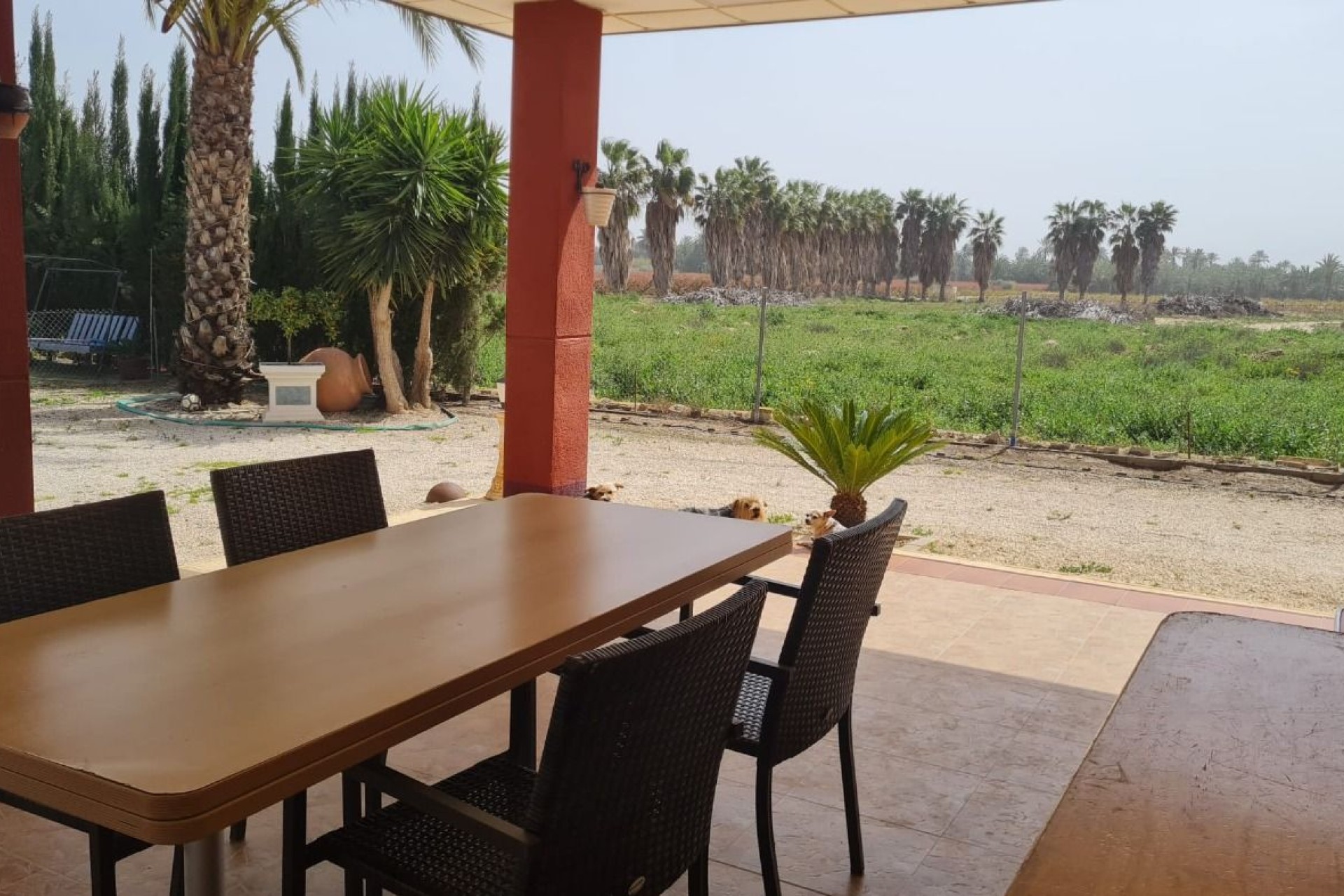 Resale - Villa - Elche Pedanías - Algoda