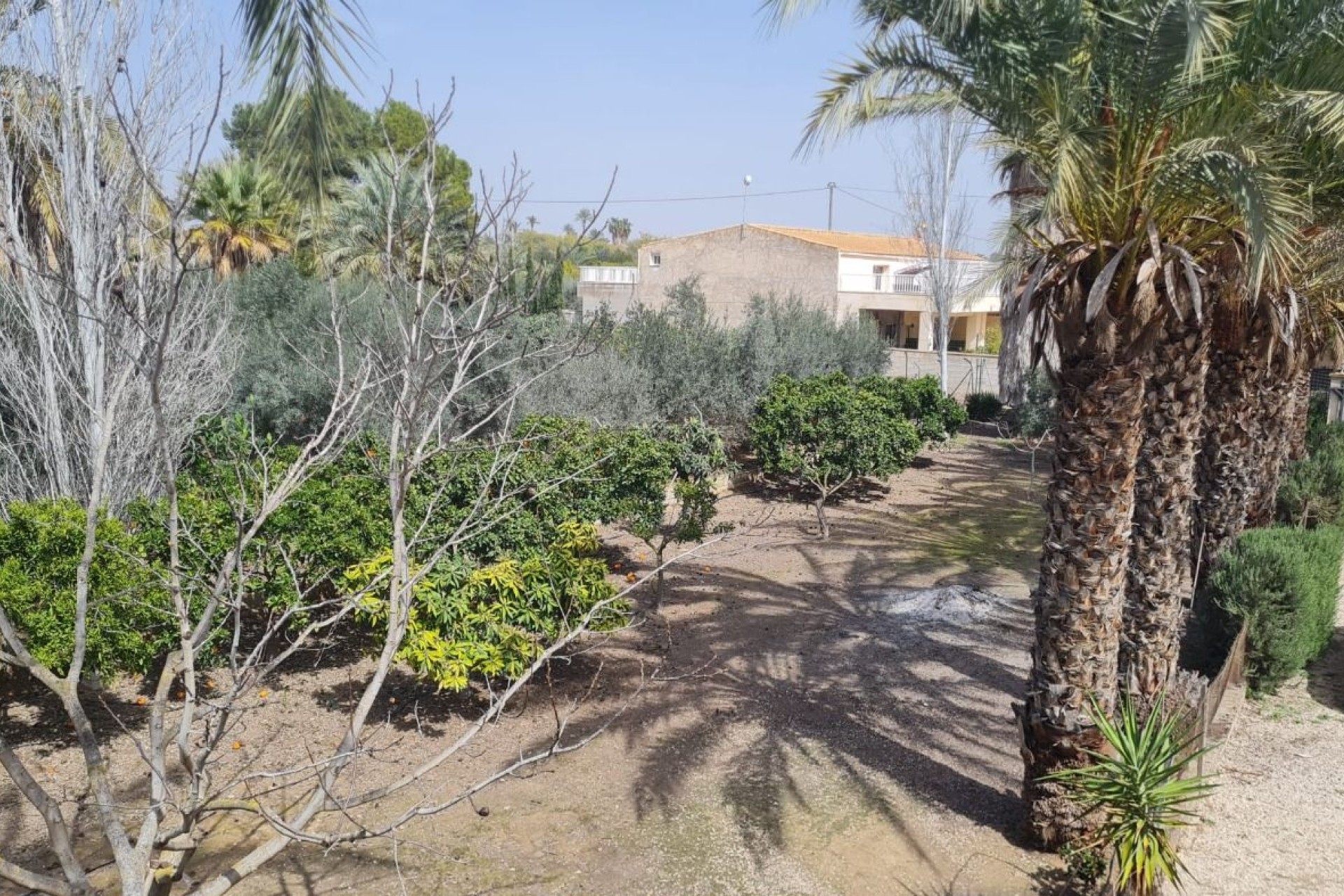 Resale - Villa - Elche Pedanías - Algoda