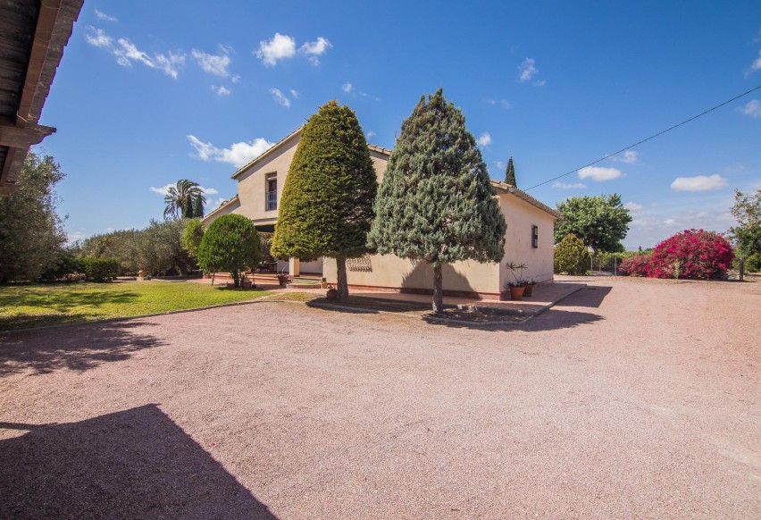 Resale - Villa - Elche Pedanías - Alzabares