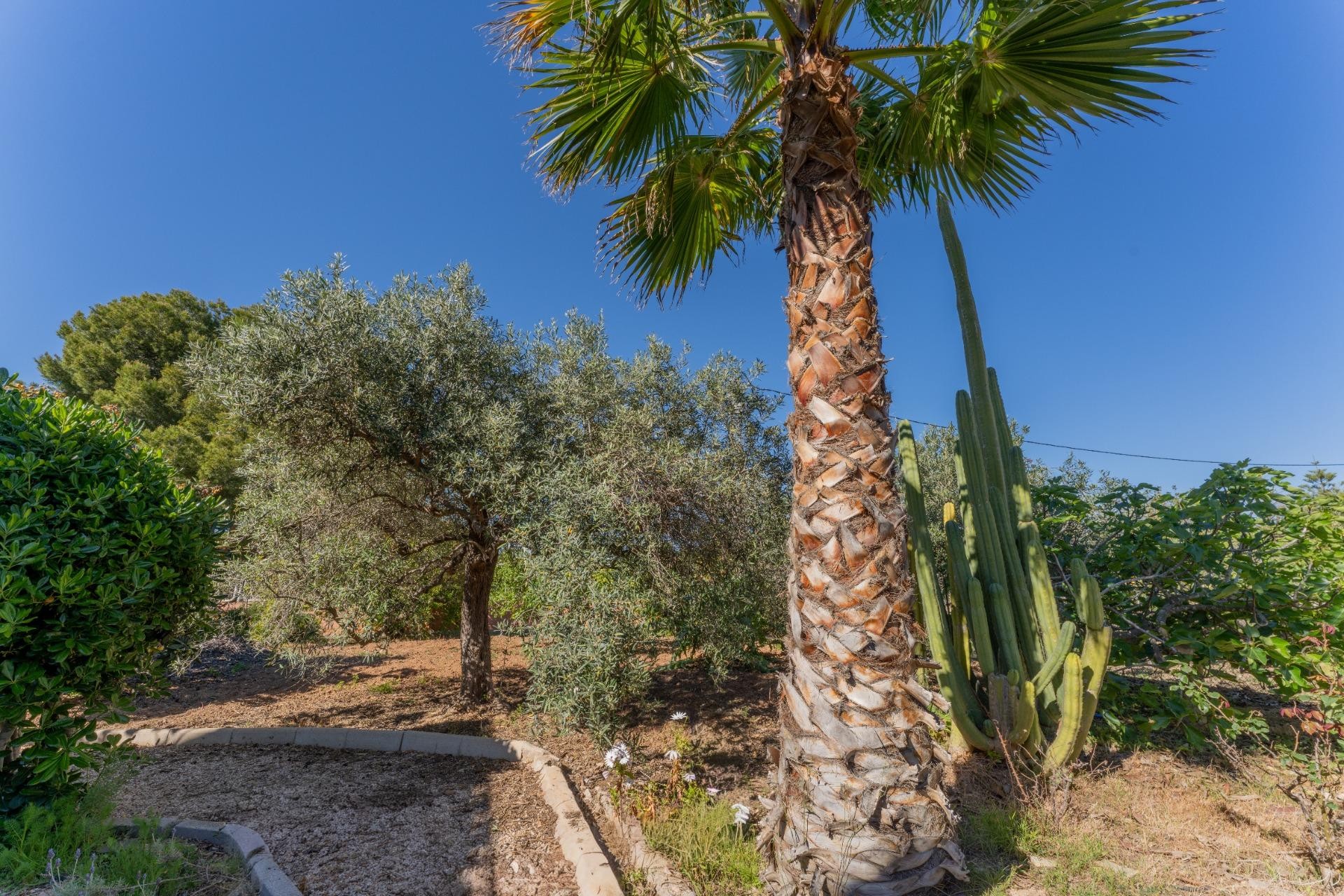 Resale - Villa - Elche Pedanías - El Altet - Balsares